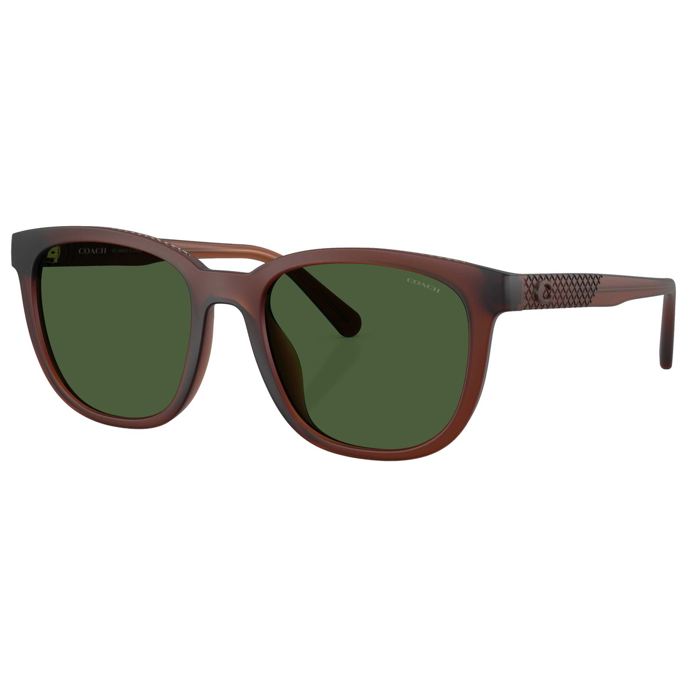 Coach Women's Sunglasses HC8442U - 591171 - 54