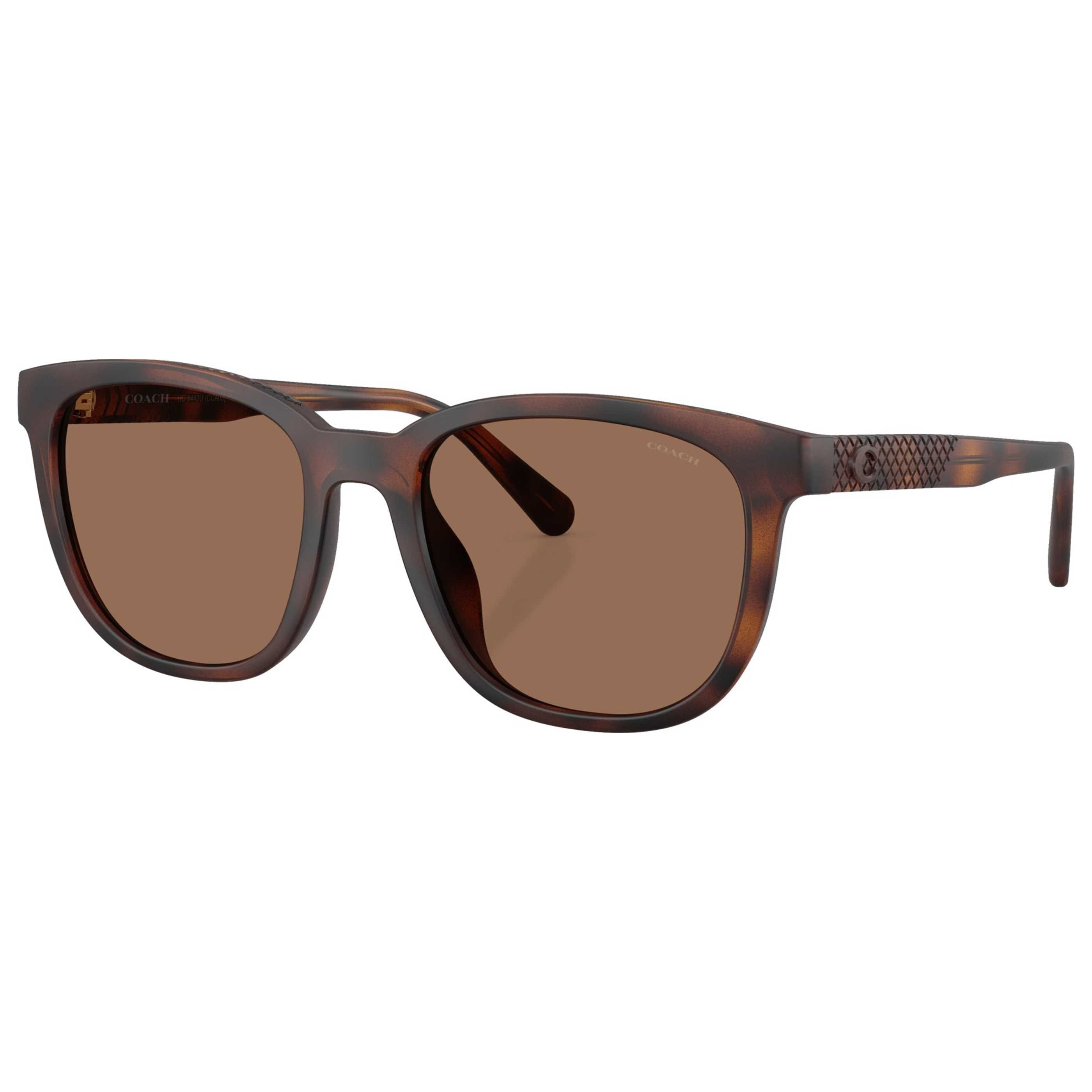 Coach Women's Sunglasses HC8442U - 512073 - 54