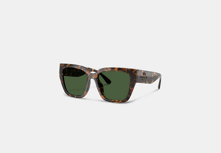 Coach Oversized Cat Eye Sunglasses