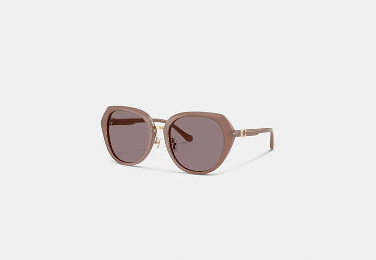 Coach Maxi Sculpted C Oversized Round Sunglasses