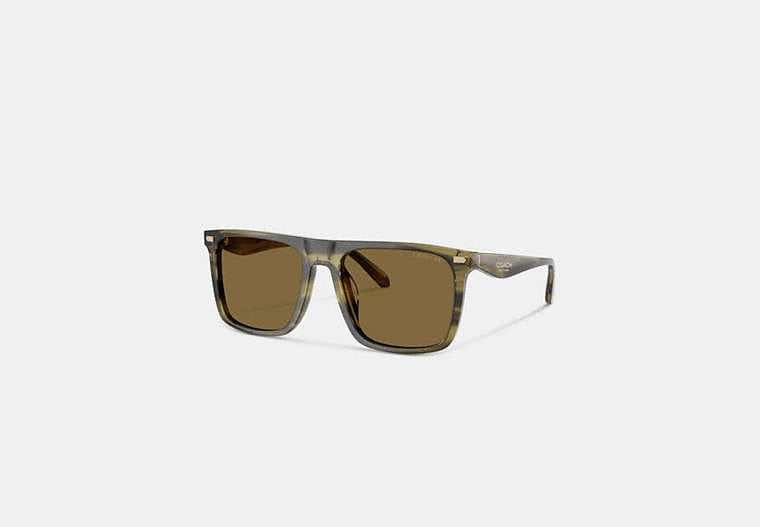 Coach Flat Top Square Sunglasses