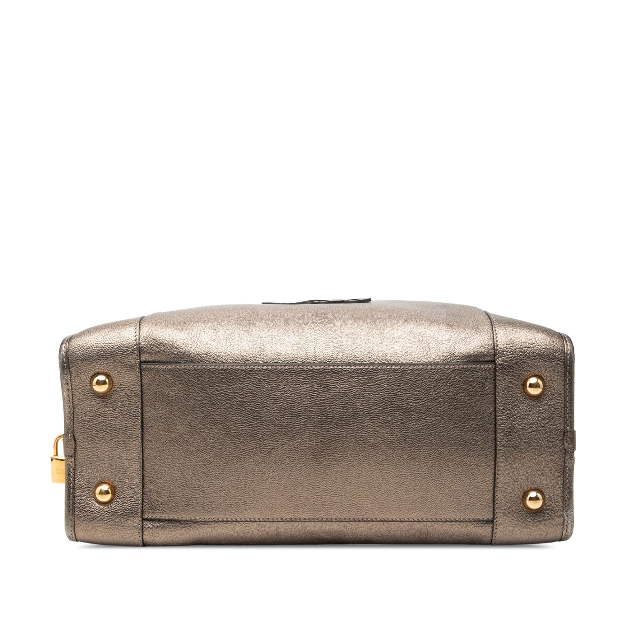 Loewe Metallic Goatskin Amazona 36