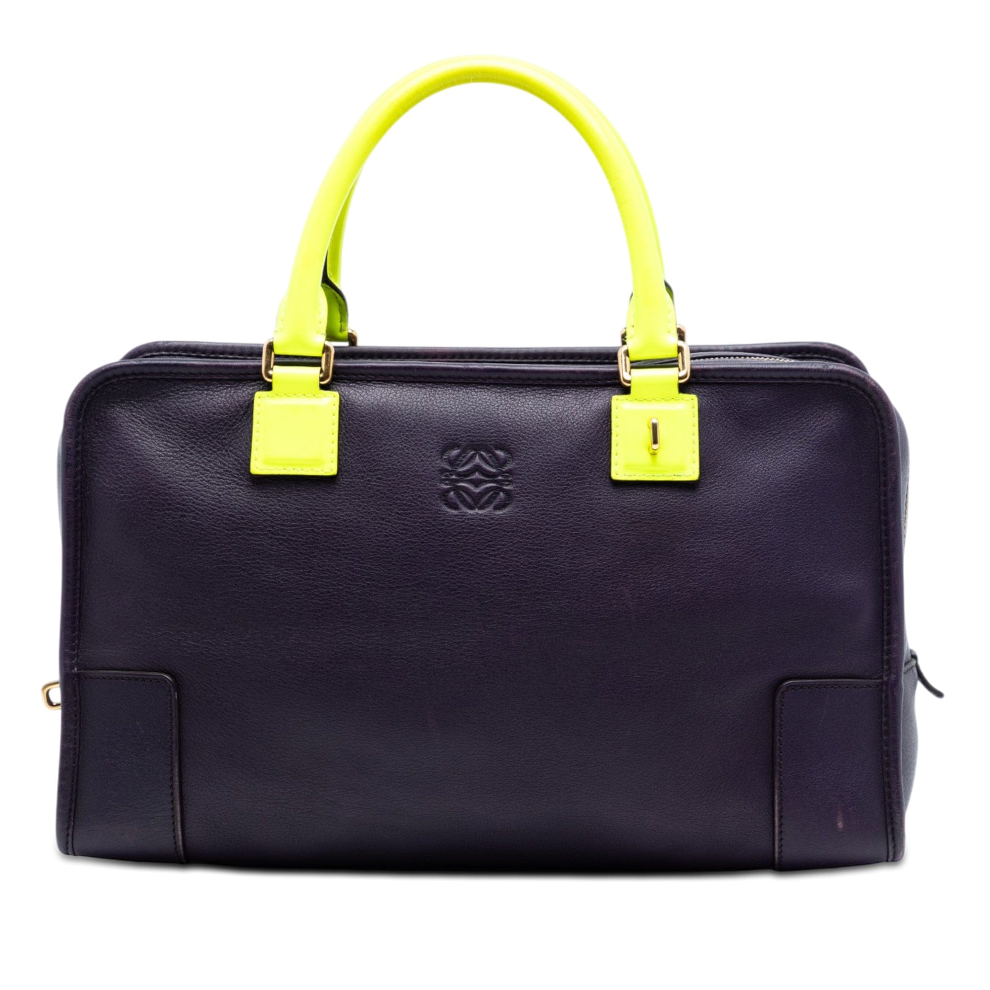 Loewe Special Edition Bicolor Goatskin Amazona 36