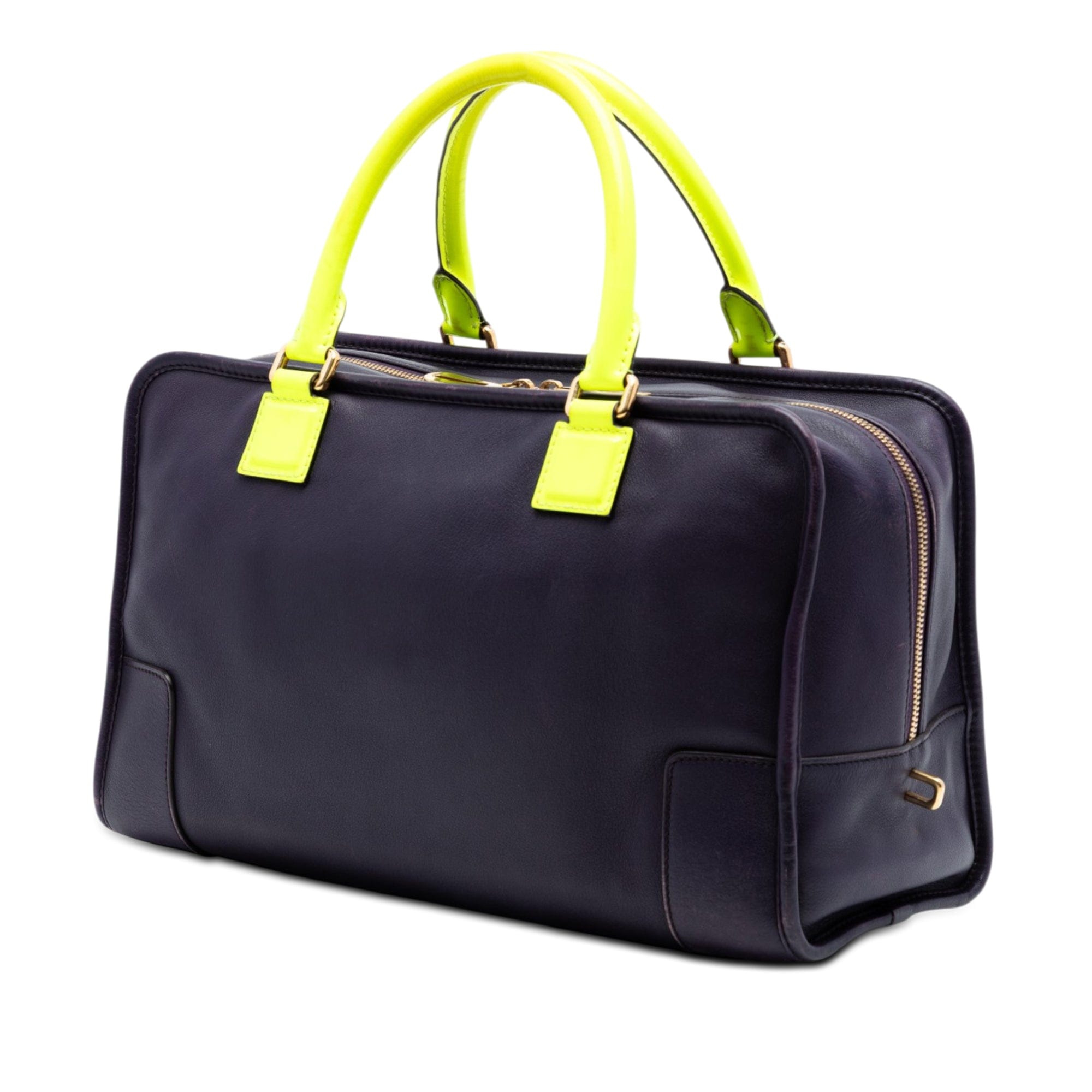 Loewe Special Edition Bicolor Goatskin Amazona 36