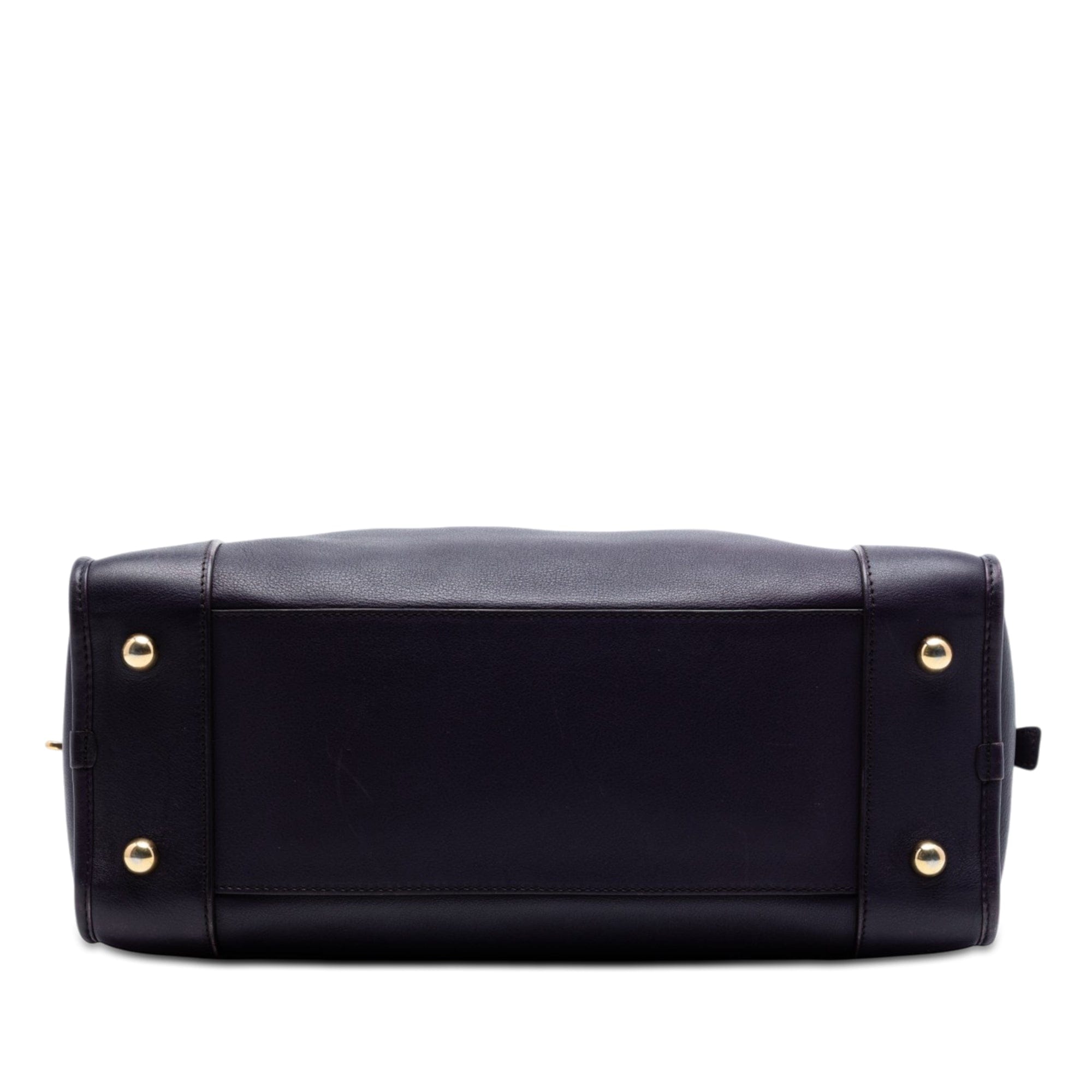 Loewe Special Edition Bicolor Goatskin Amazona 36