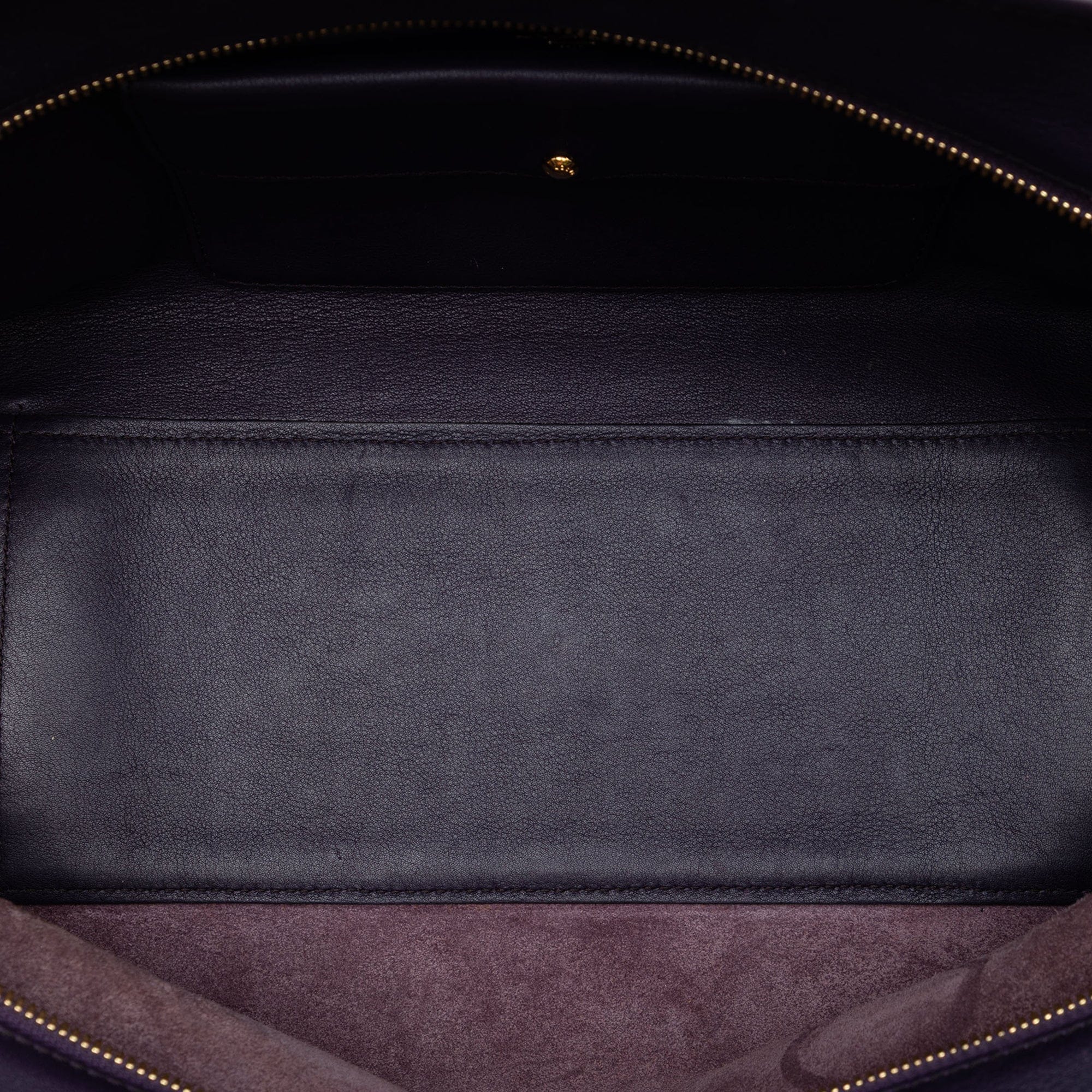 Loewe Special Edition Bicolor Goatskin Amazona 36