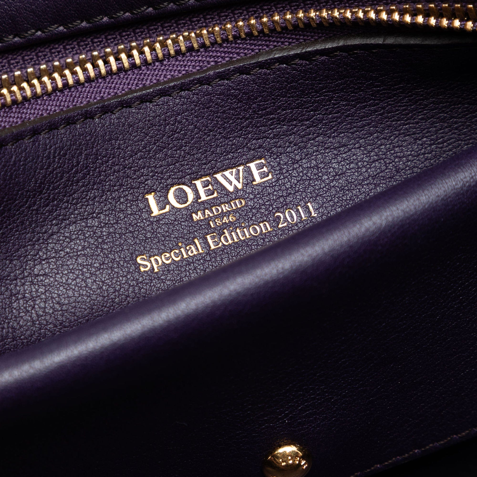 Loewe Special Edition Bicolor Goatskin Amazona 36
