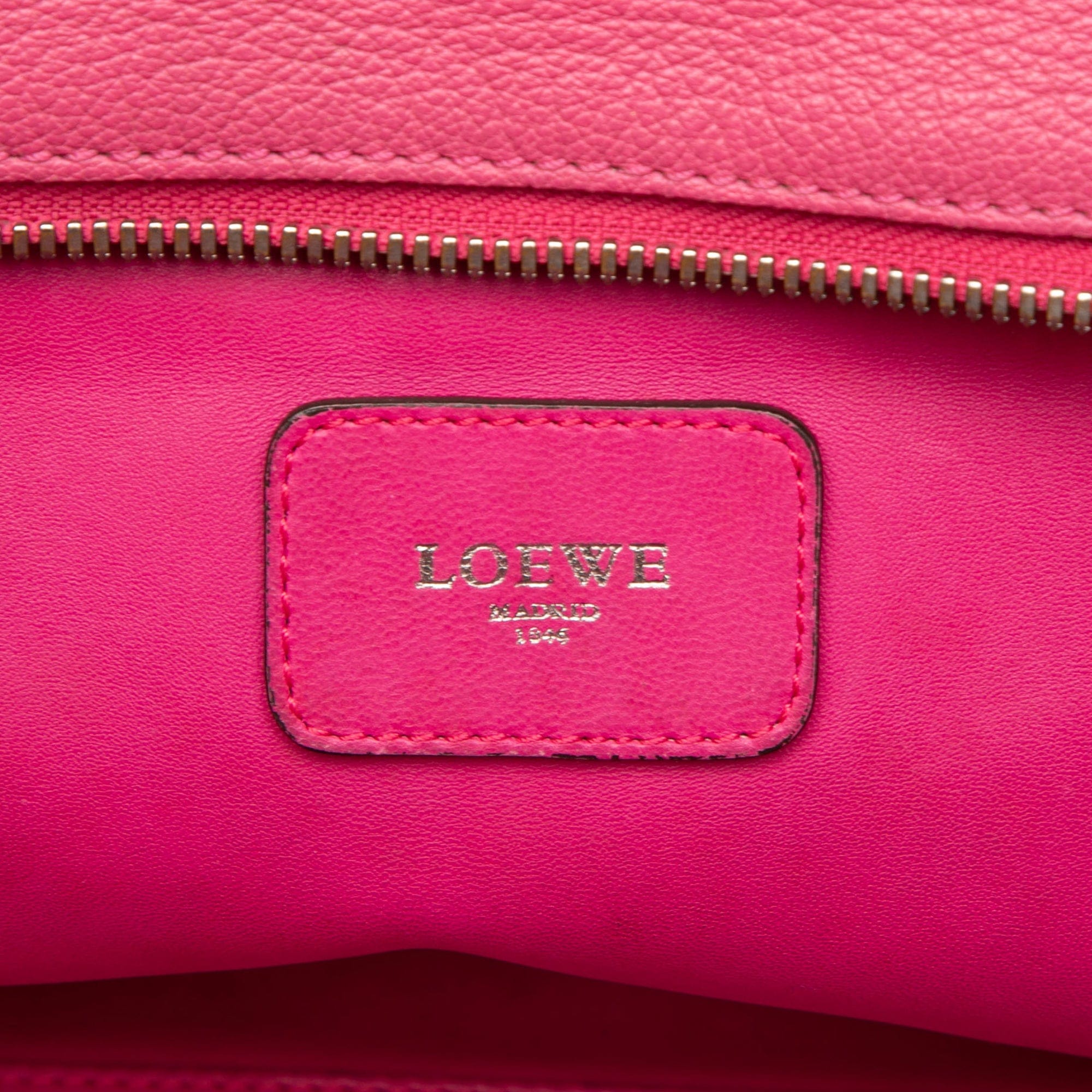 Loewe Tricolor Goatskin Amazona 36