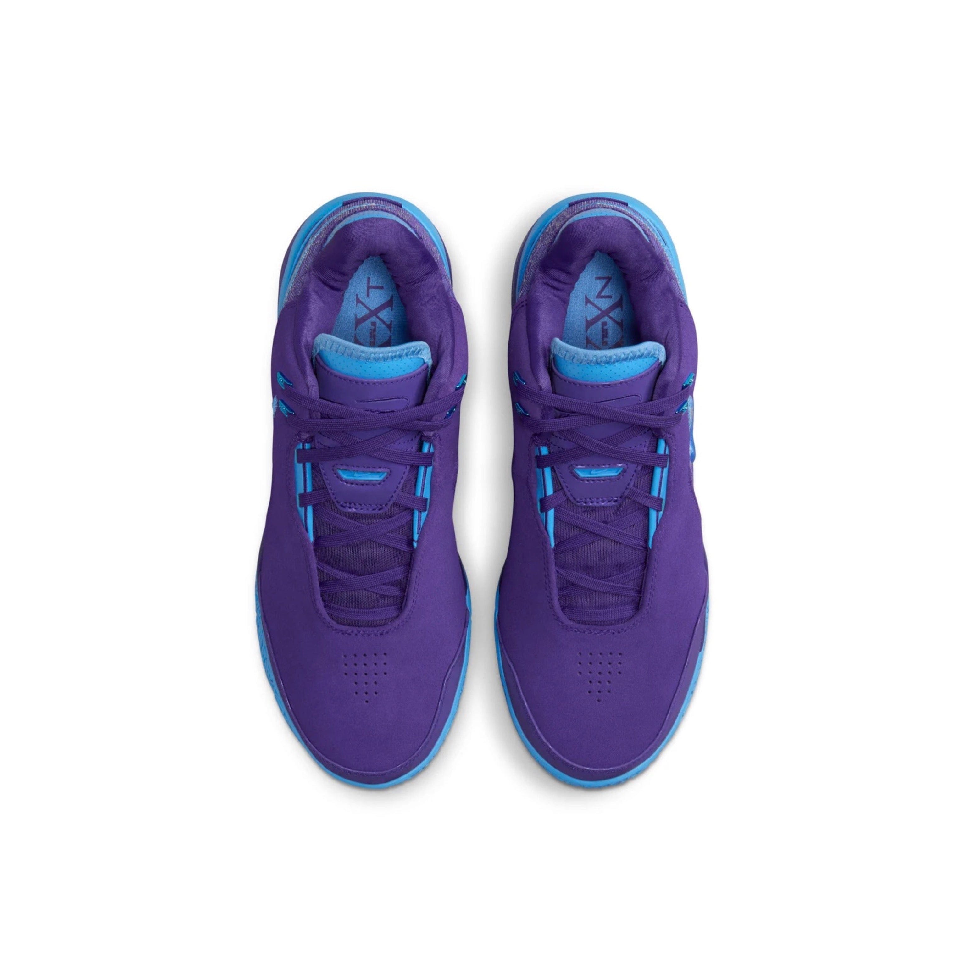 Nike LEBRON NXXT GEN AMPD EP Field Purple