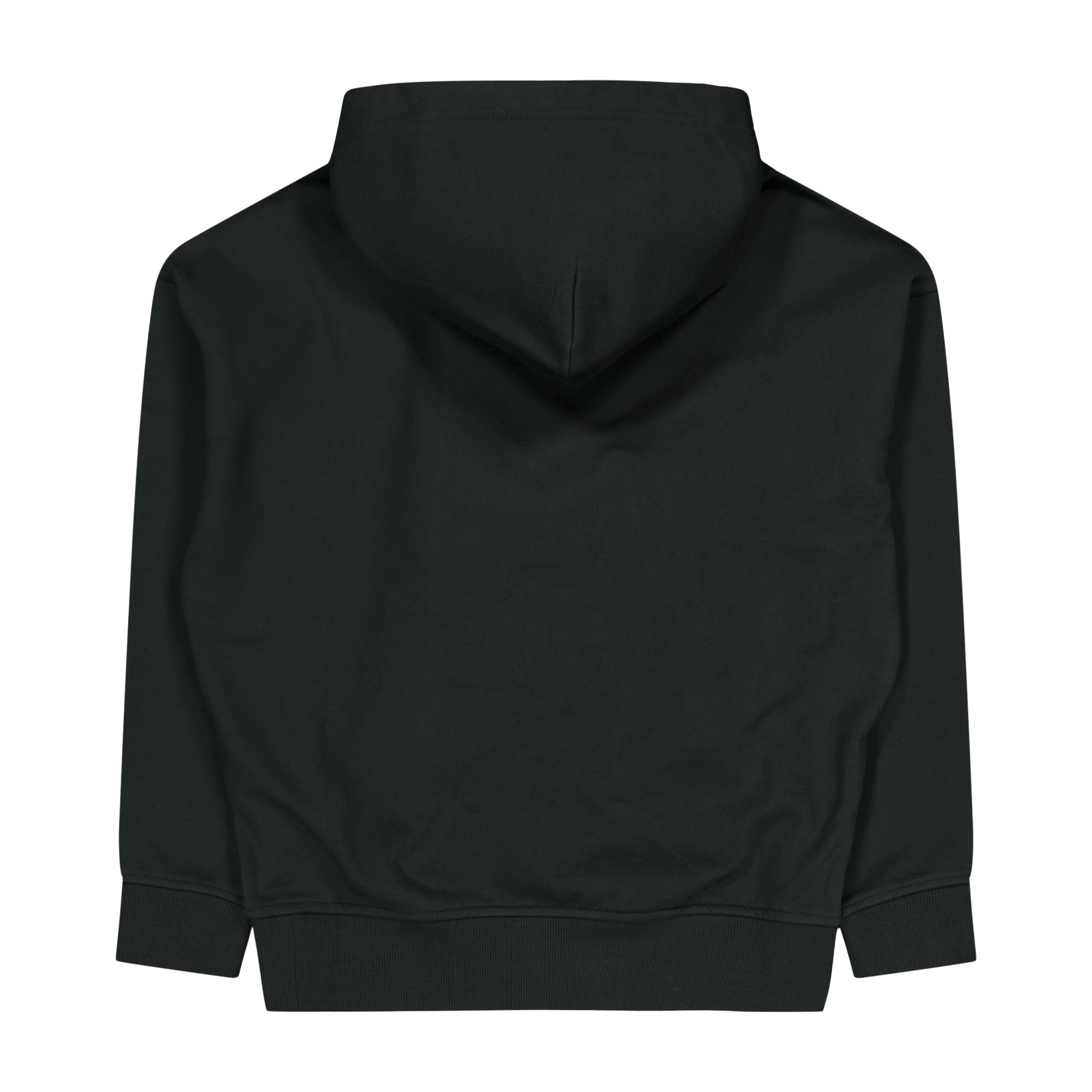 Polo Ralph Lauren Relaxed Fit Logo Fleece Hoodie Faded Black Canvas