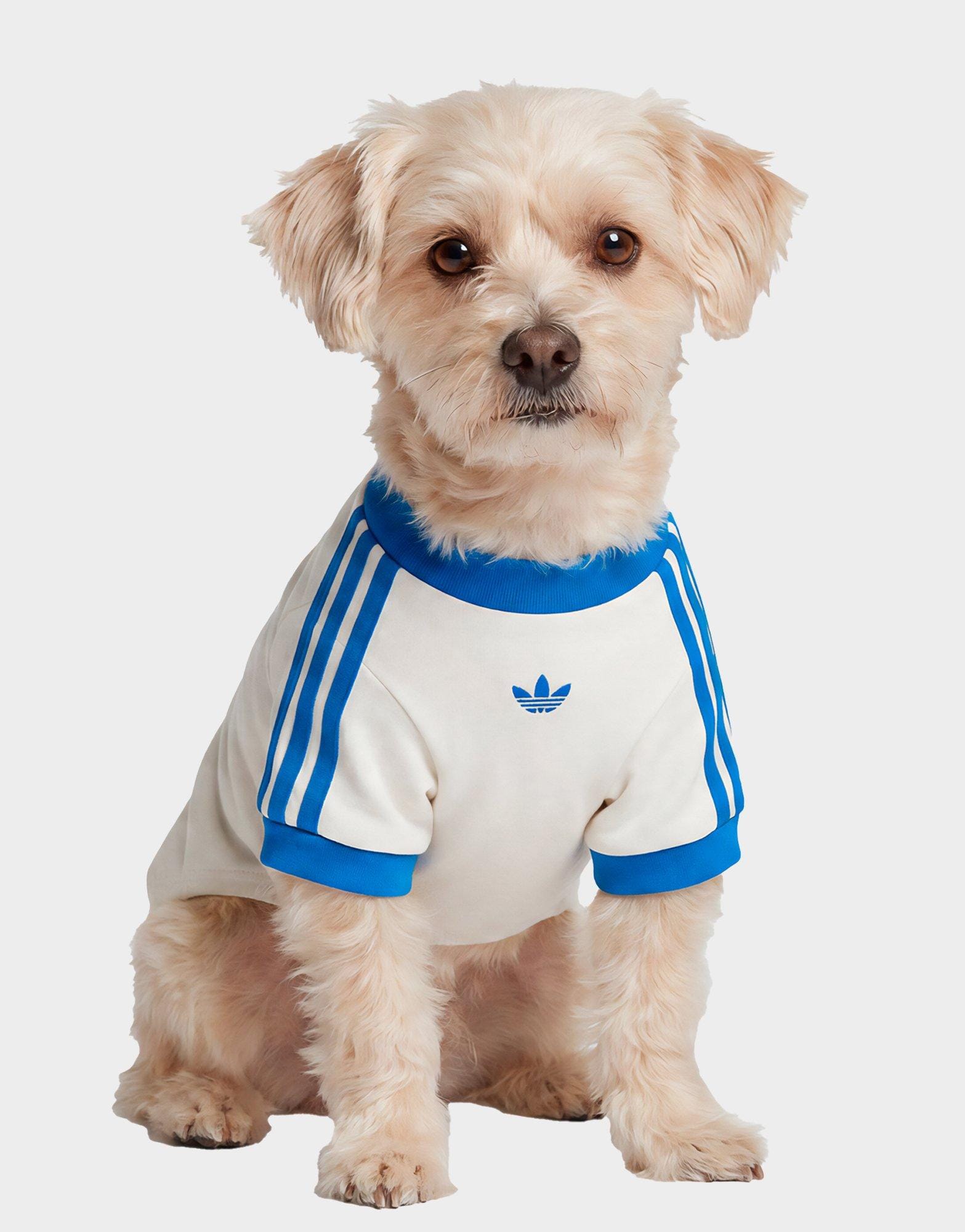 adidas Pet Cali T - Shirt