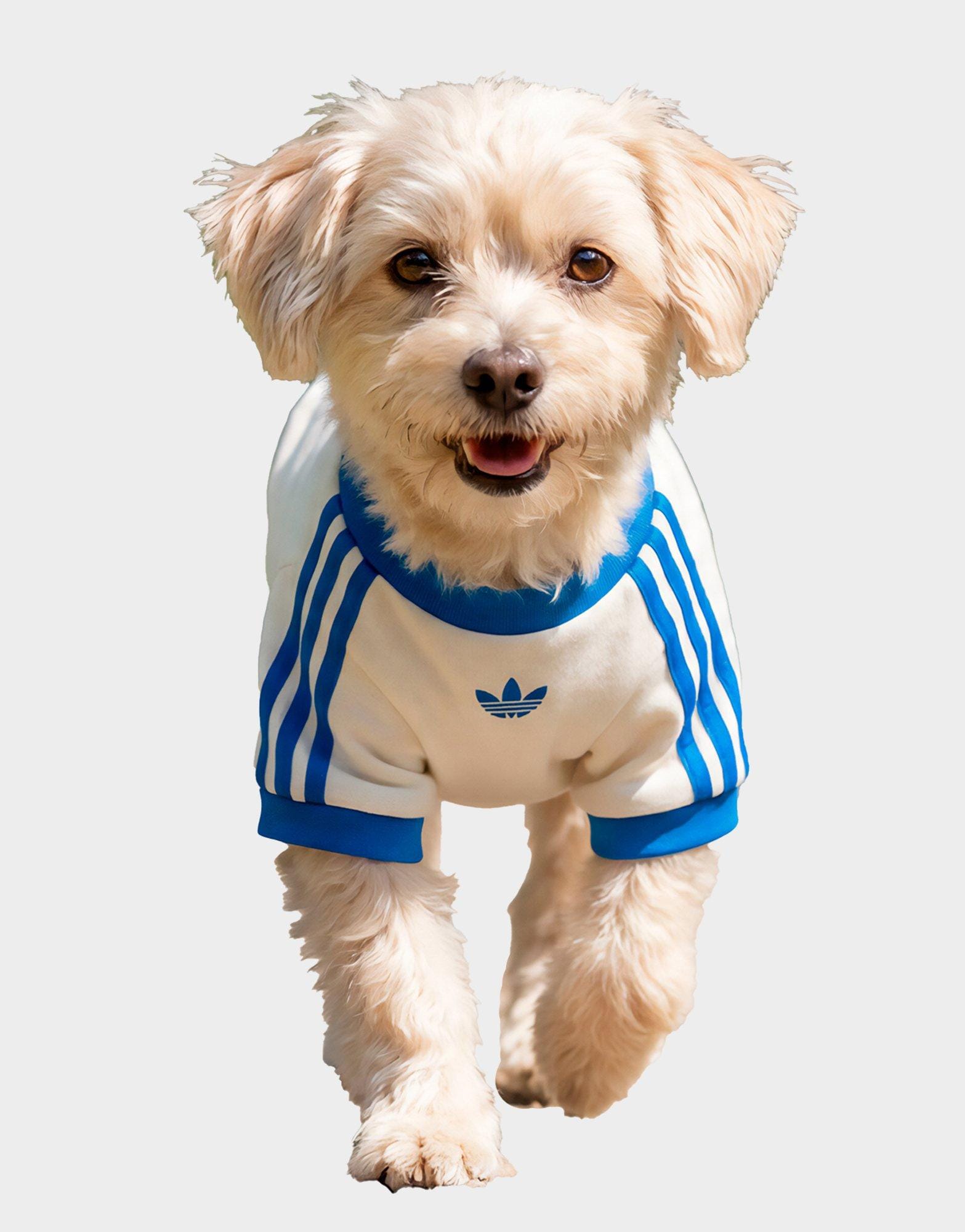adidas Pet Cali T - Shirt