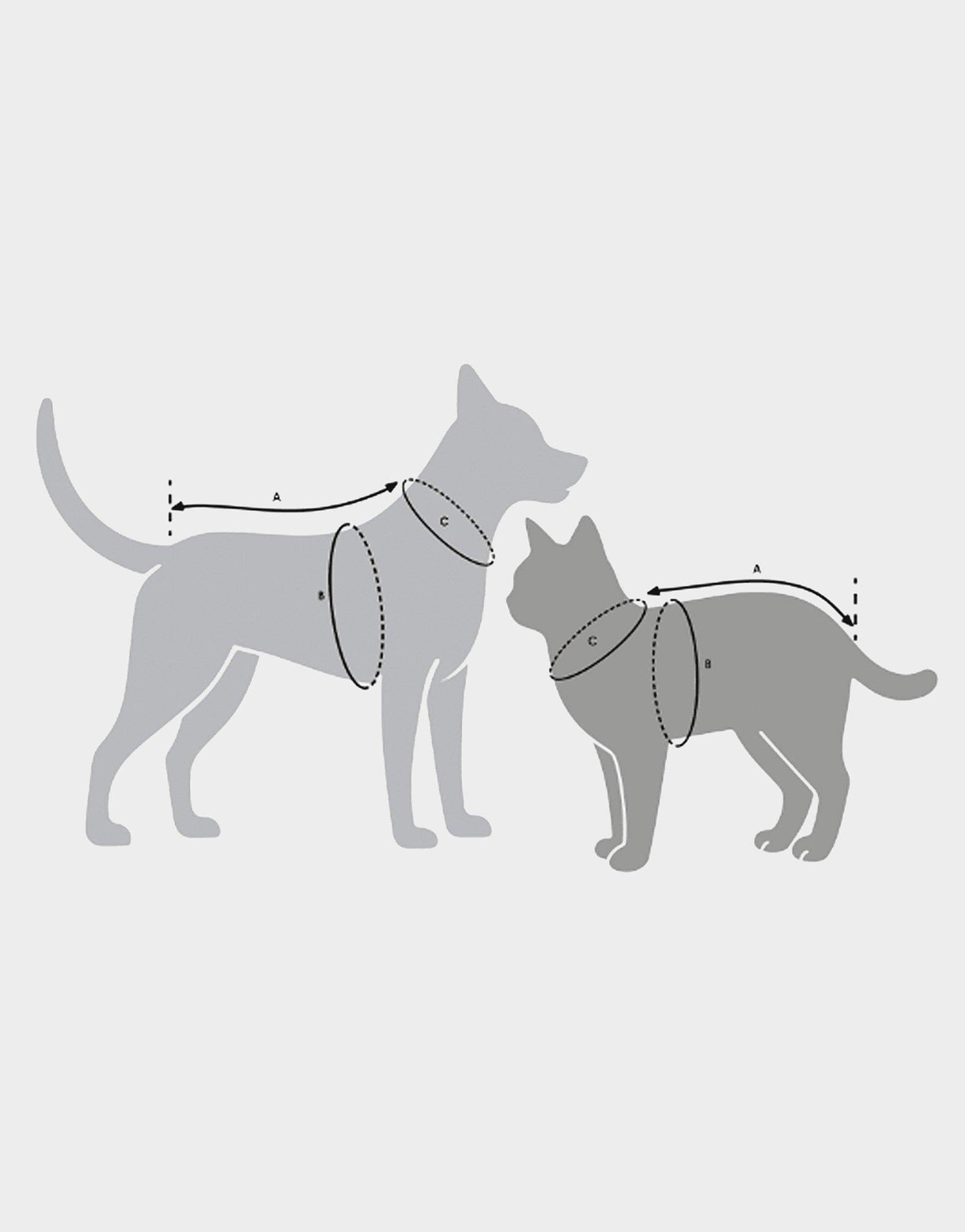 adidas Pet Cali T - Shirt