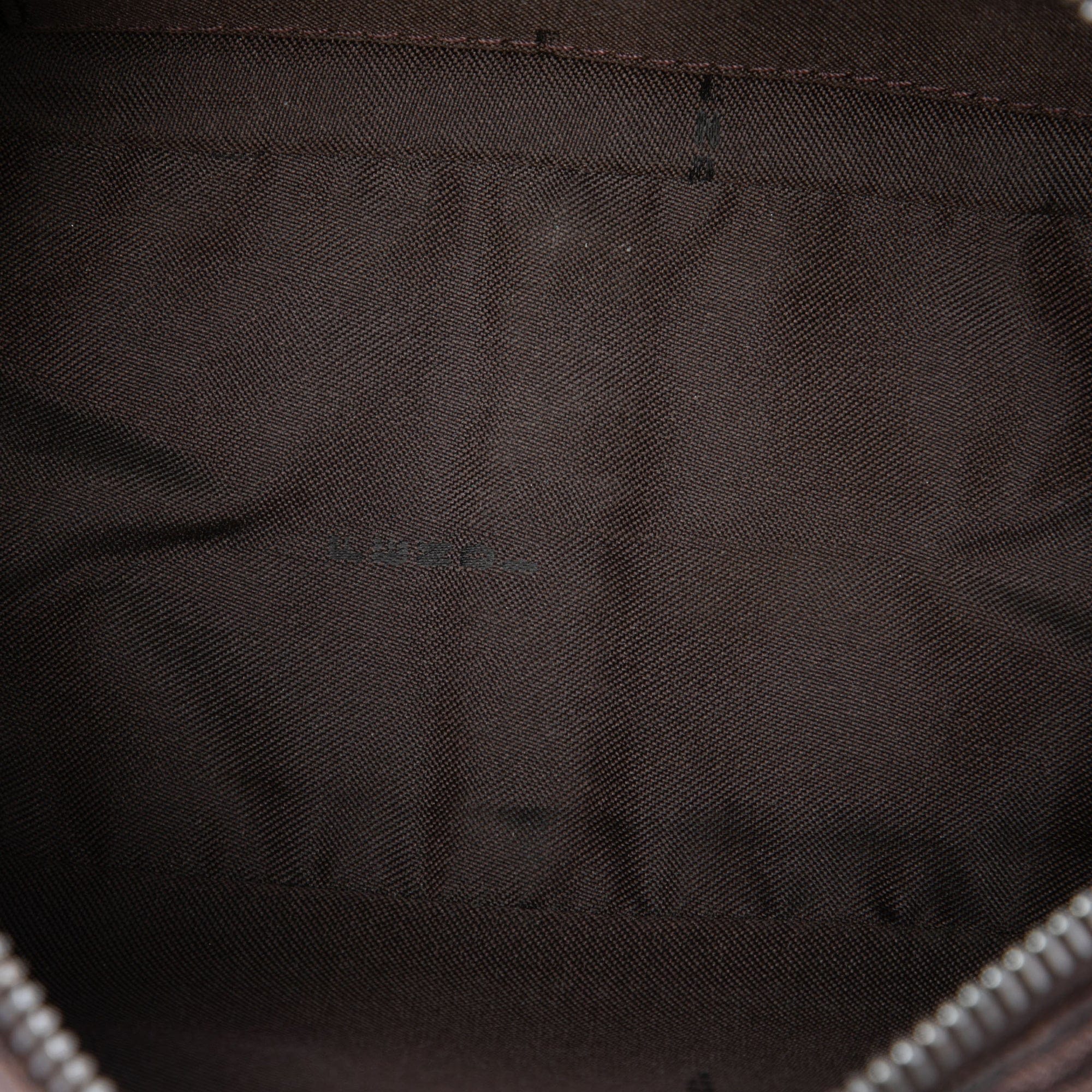 Fendi Zebra Print Canvas Pochette