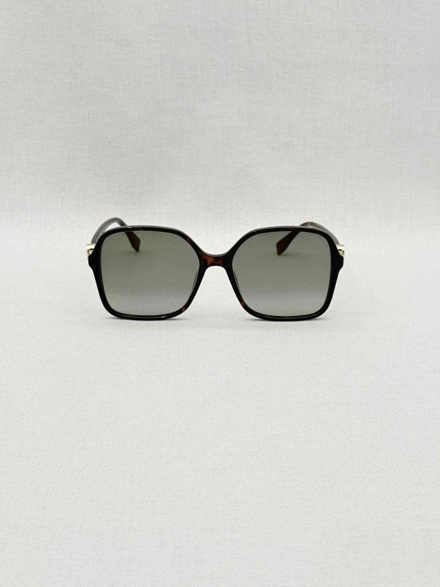 Fendi Black & Brown Sunglasses