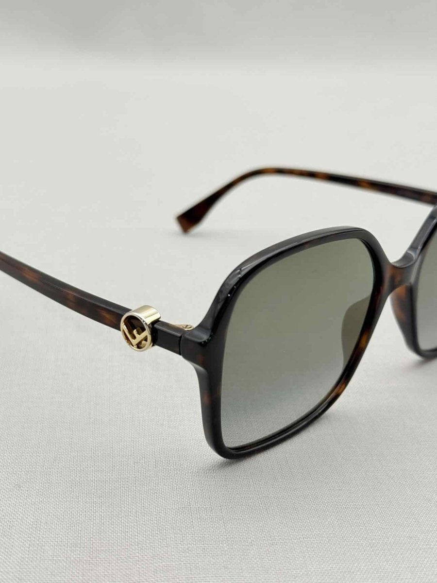 Fendi Black & Brown Sunglasses