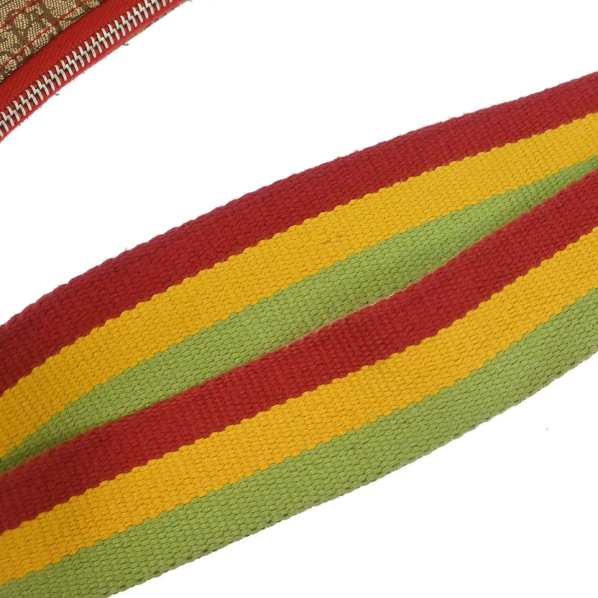 Christian Dior Rasta - Color Trotter Saddle Shoulder Bag