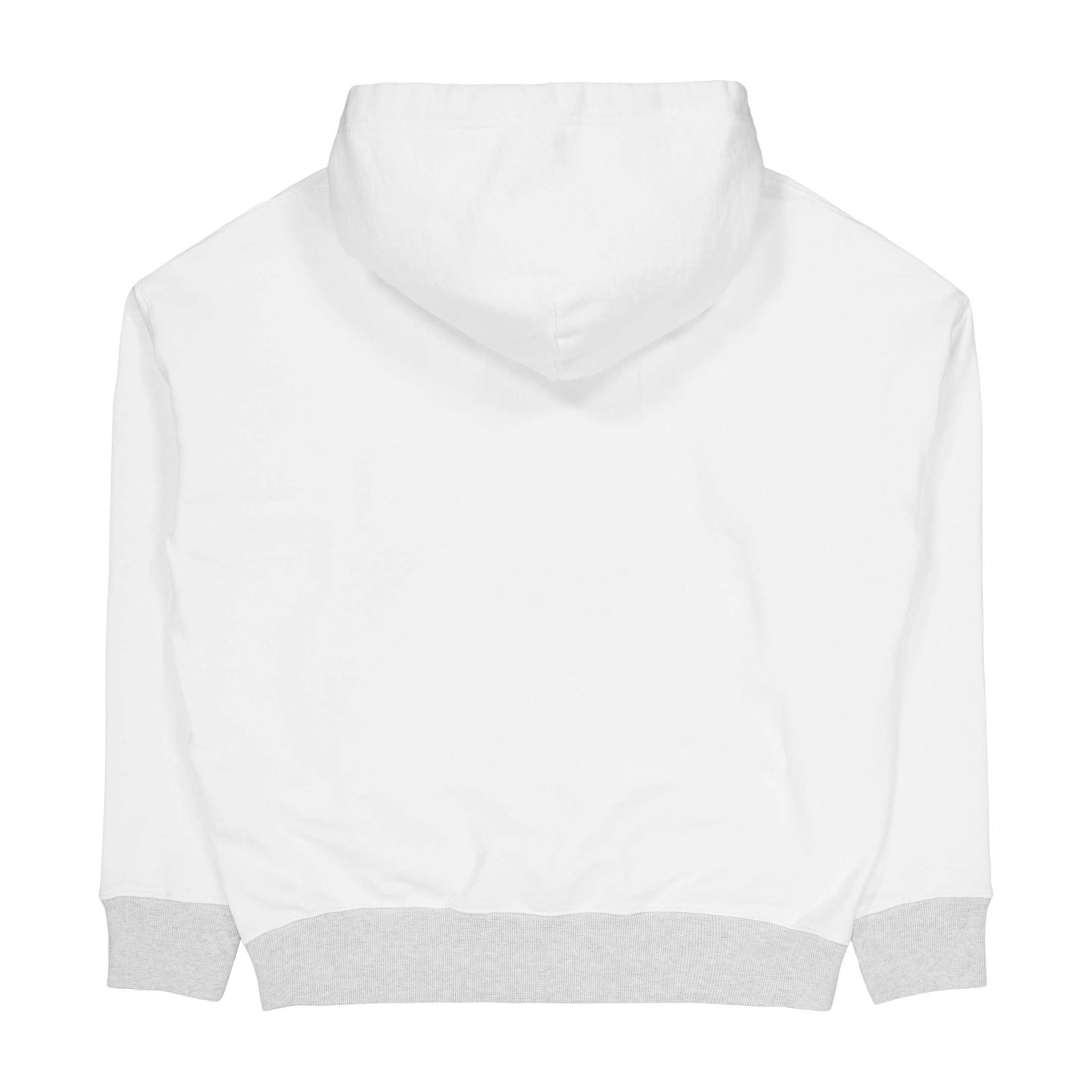 Polo Ralph Lauren Fleece Graphic Hoodie Nevis / Light Sport Heather