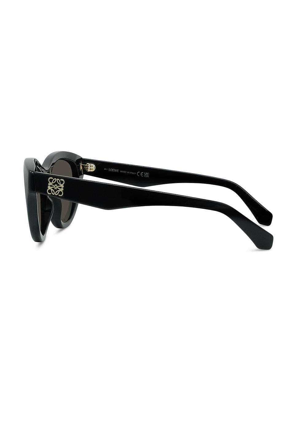 Loewe Cat Eye Sunglasses