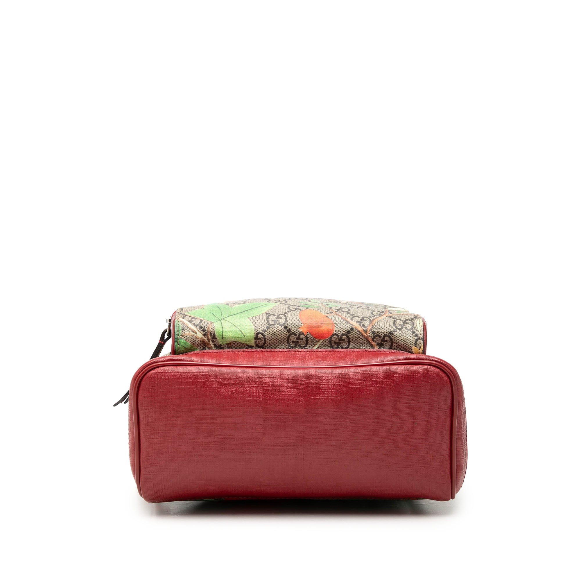 Gucci Small GG Supreme Web Tian Backpack
