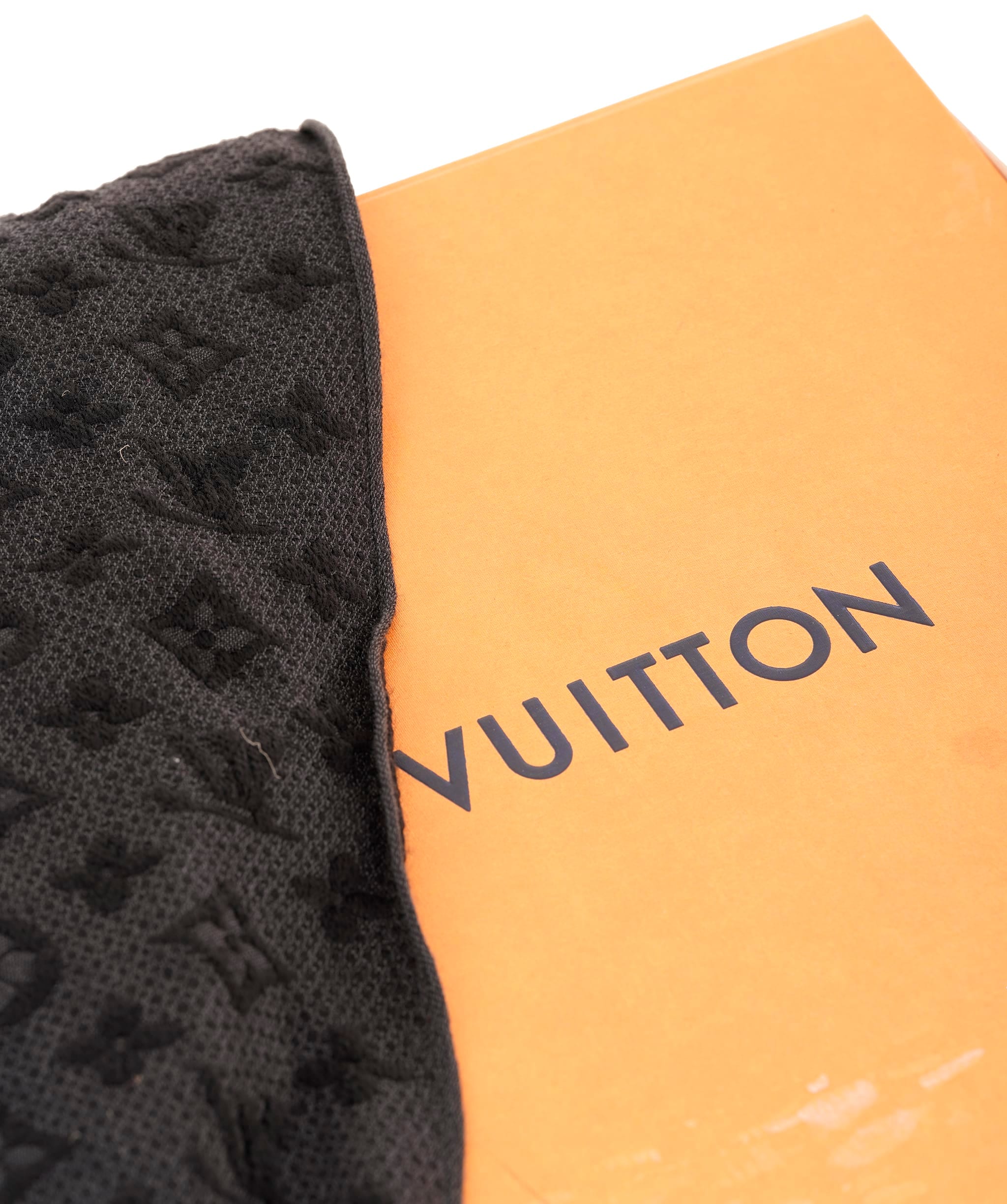 Louis Vuitton Scarves