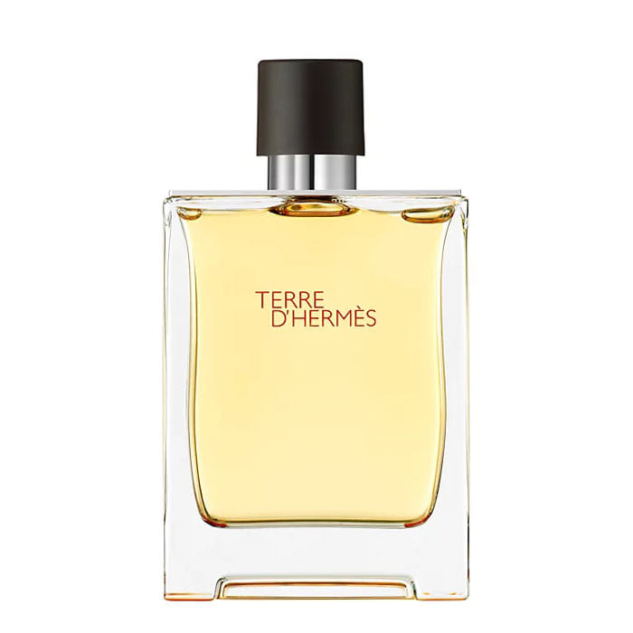 Hermes Terre D'Hermes Parfum by Hermes