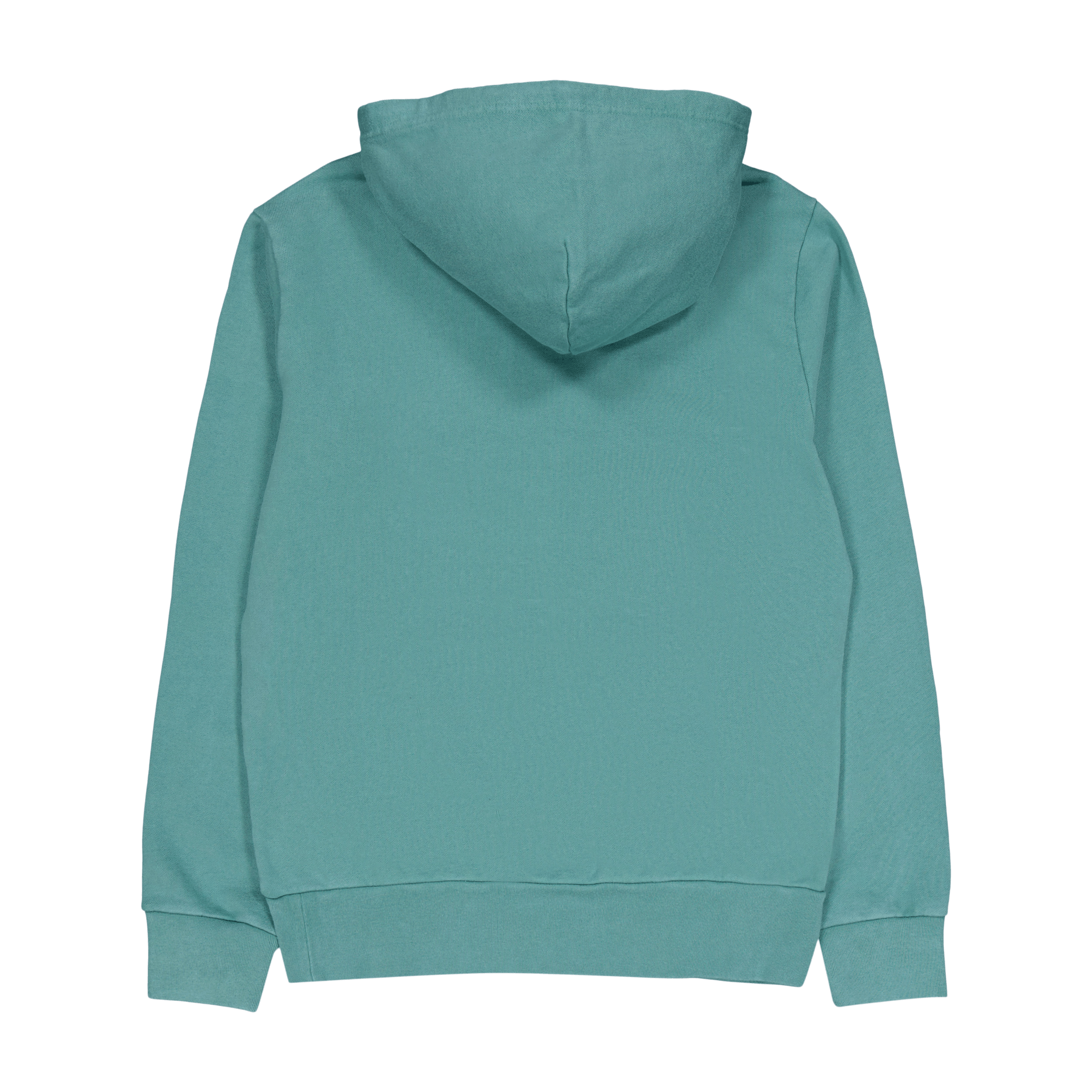 Polo Ralph Lauren Loopback Fleece Hoodie Fairway Green