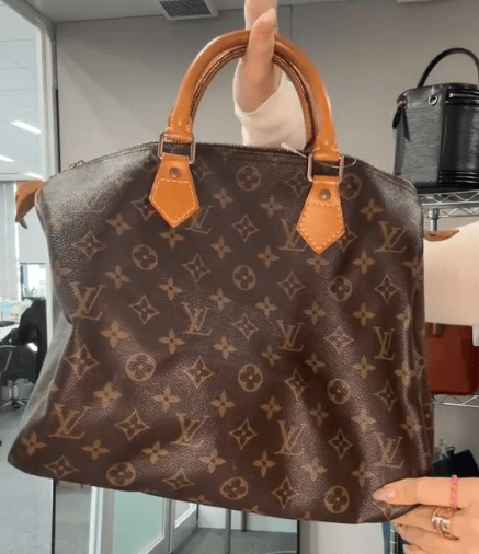 Louis Vuitton M41526 Speedy 30 B0114ZK2VE