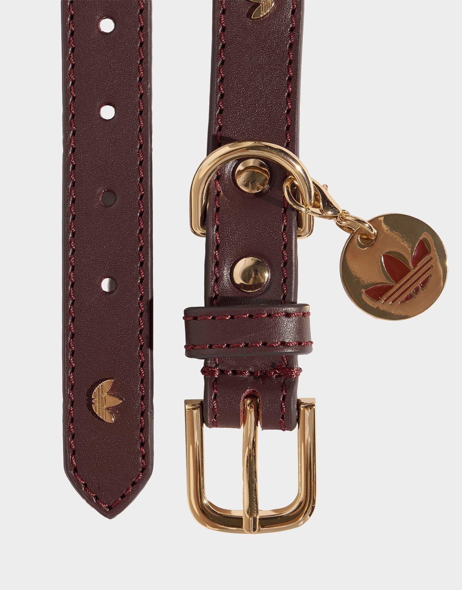 adidas Pet Collar