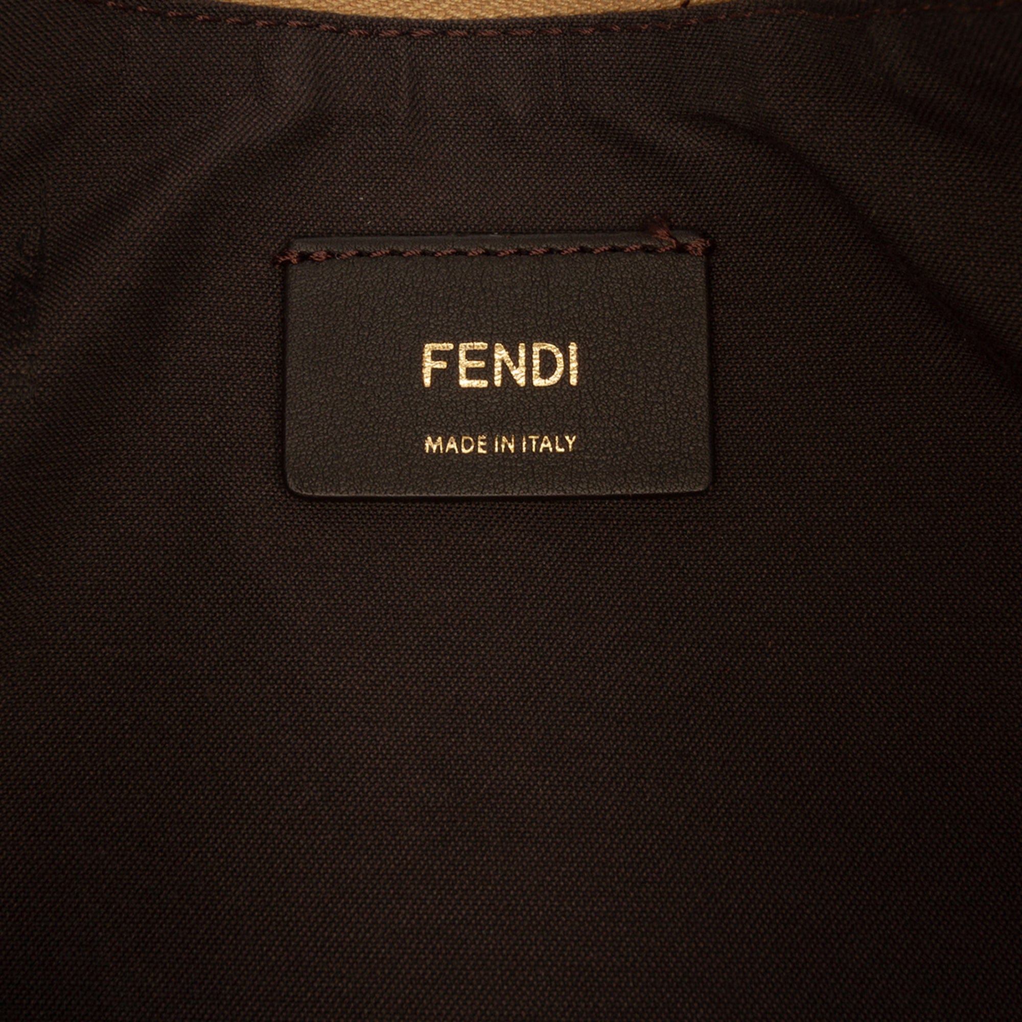 Fendi Small Metallic Leather Fendigraphy Hobo