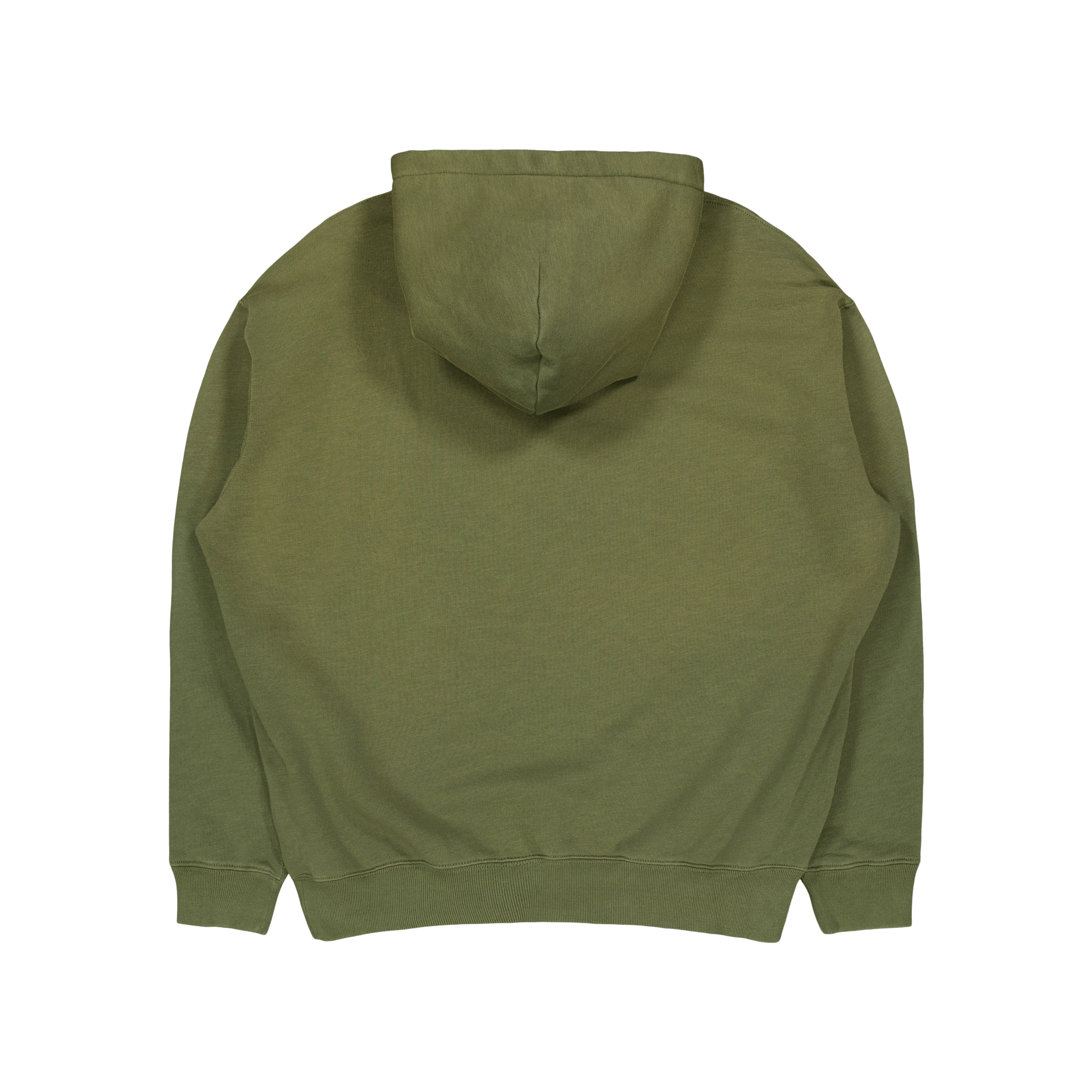 Polo Ralph Lauren Embroidered Graphic Fleece Hoodie Dark Sage