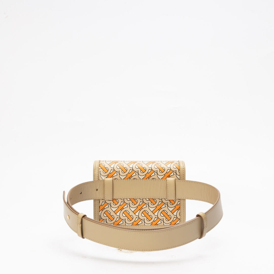 Burberry Multicolor TB Monogram Belt Bag