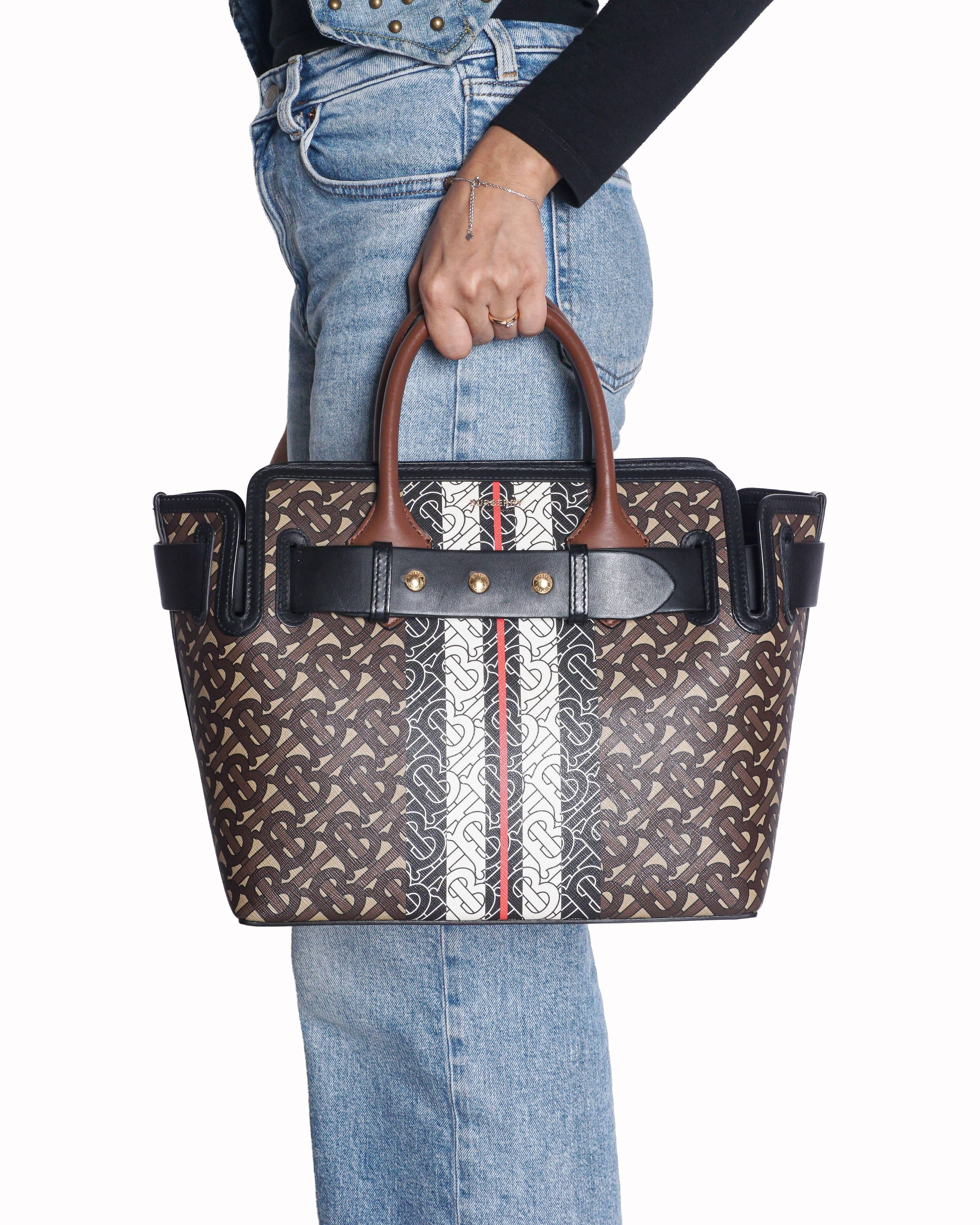 Burberry TB Monogram Canvas Stripe Medium Belt Bag