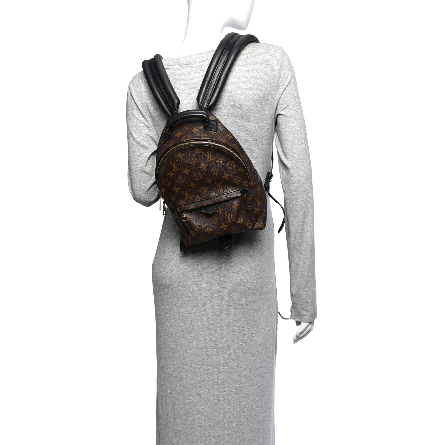 Louis Vuitton Monogram Palm Springs Backpack PM