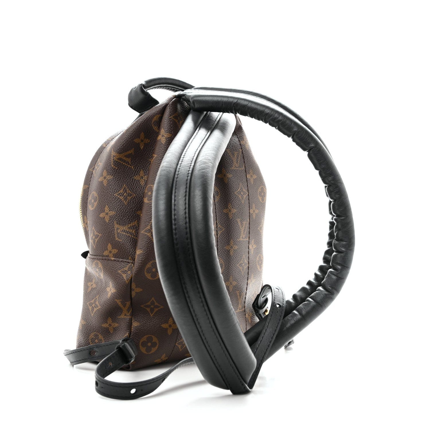 Louis Vuitton Monogram Palm Springs Backpack PM
