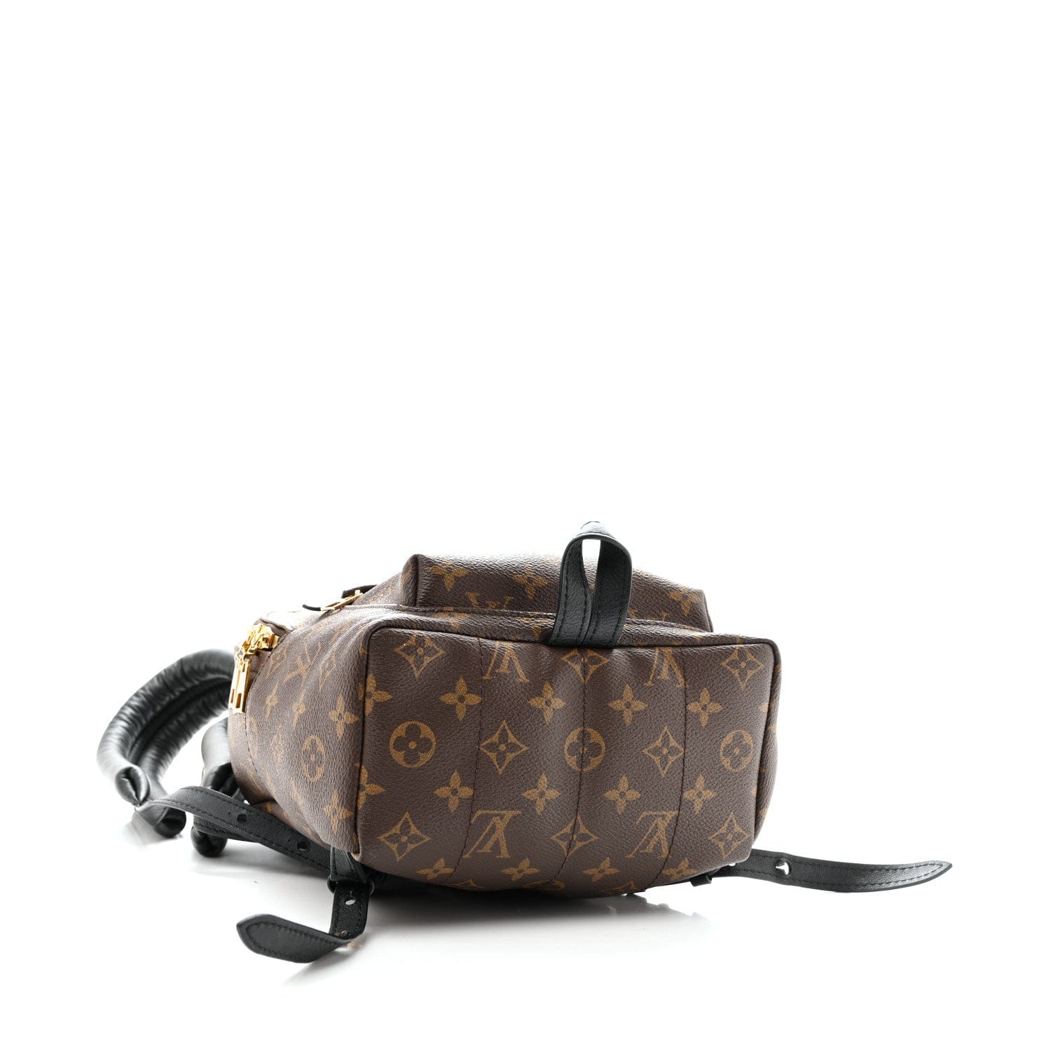Louis Vuitton Monogram Palm Springs Backpack PM
