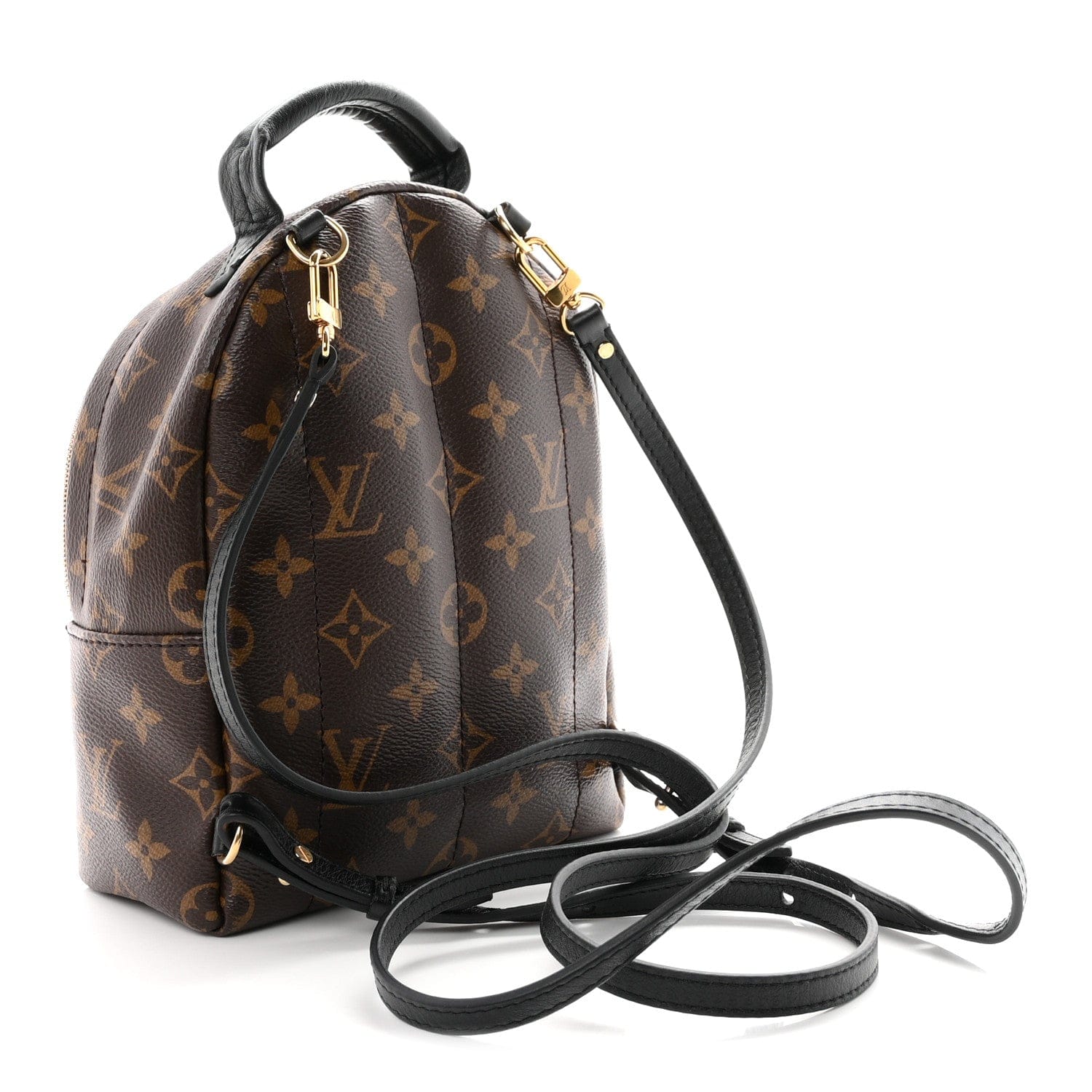 Louis Vuitton Monogram Palm Springs Backpack Mini