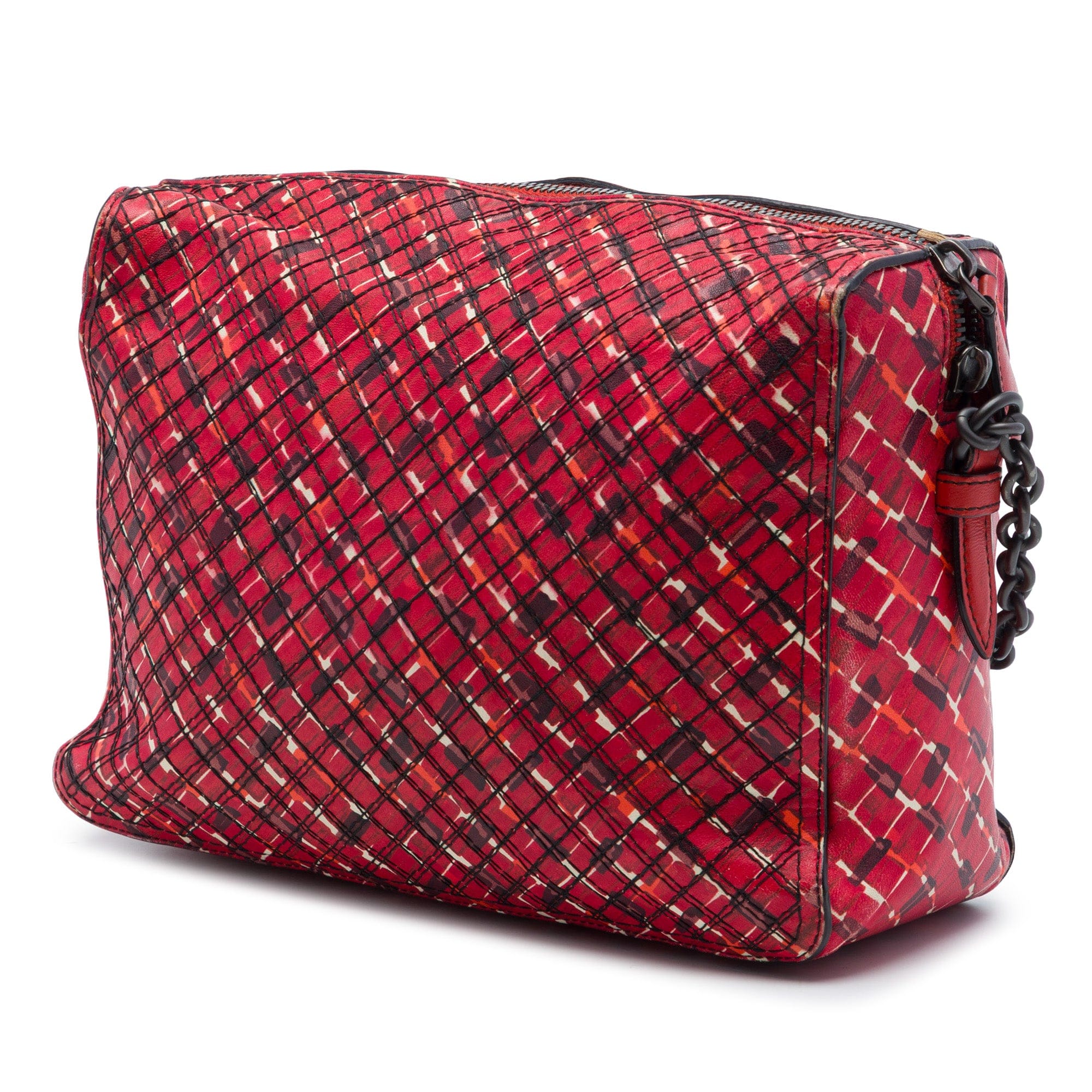 Bottega Veneta Printed Leather Camera Bag