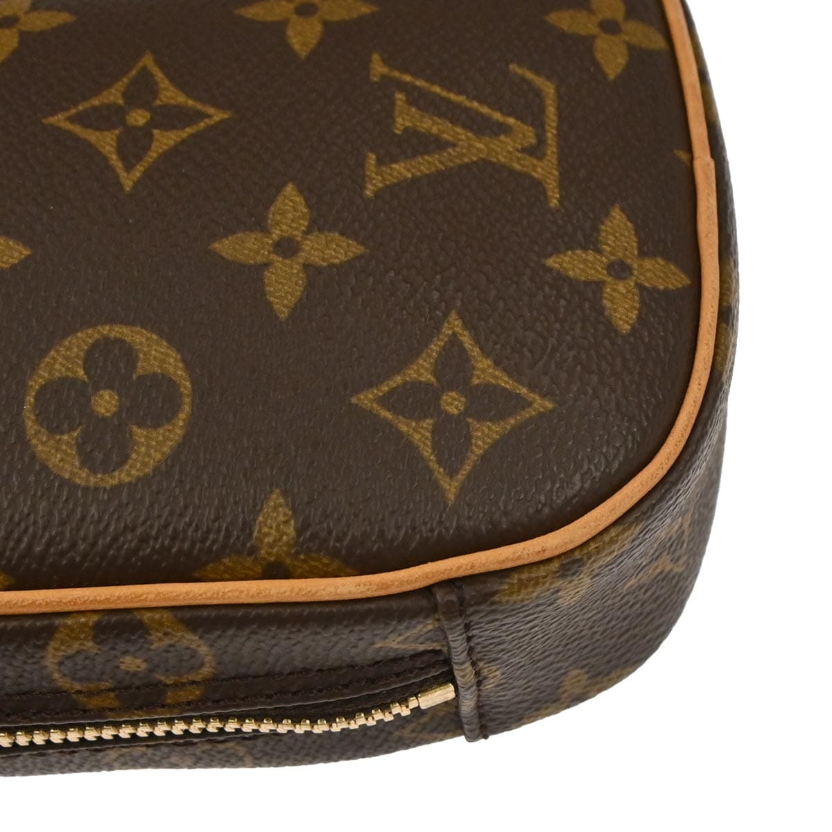 Louis Vuitton 2003 Monogram Pochette Gange Bum Bag M51870