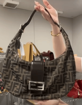 Fendi Canvas × Leather Brown Zucca One Shoulder Bag B0705BPYV2