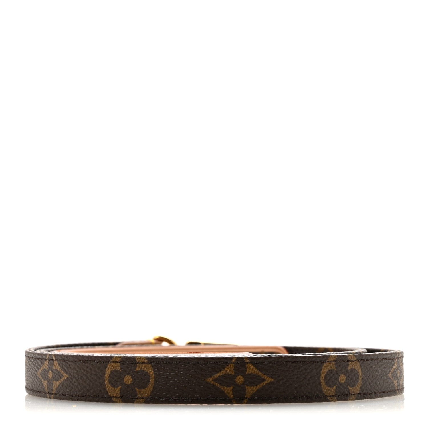 Louis Vuitton Monogram Dog Leash MM