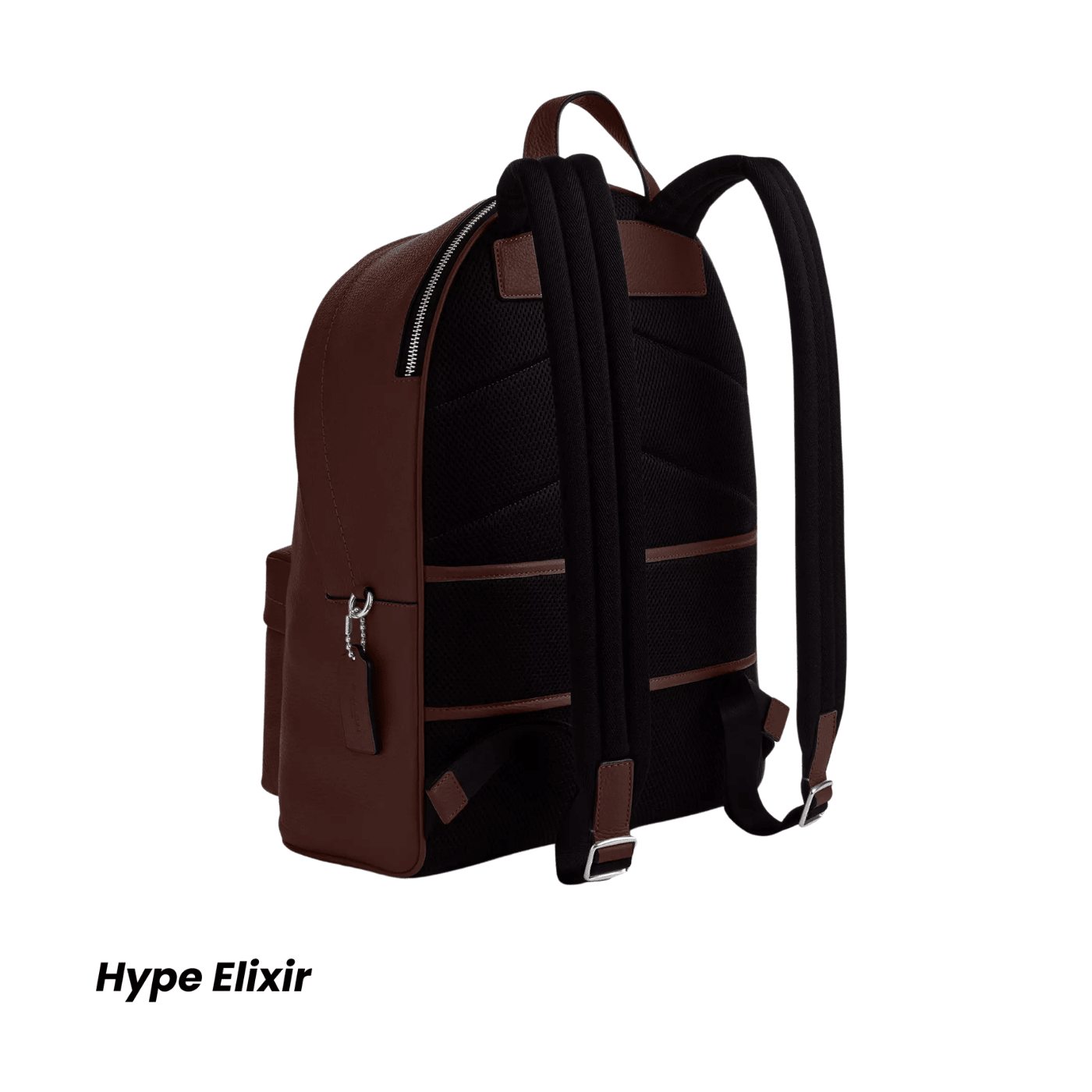 Coach Taylor Backpack pebbled leather/Silver/Maple