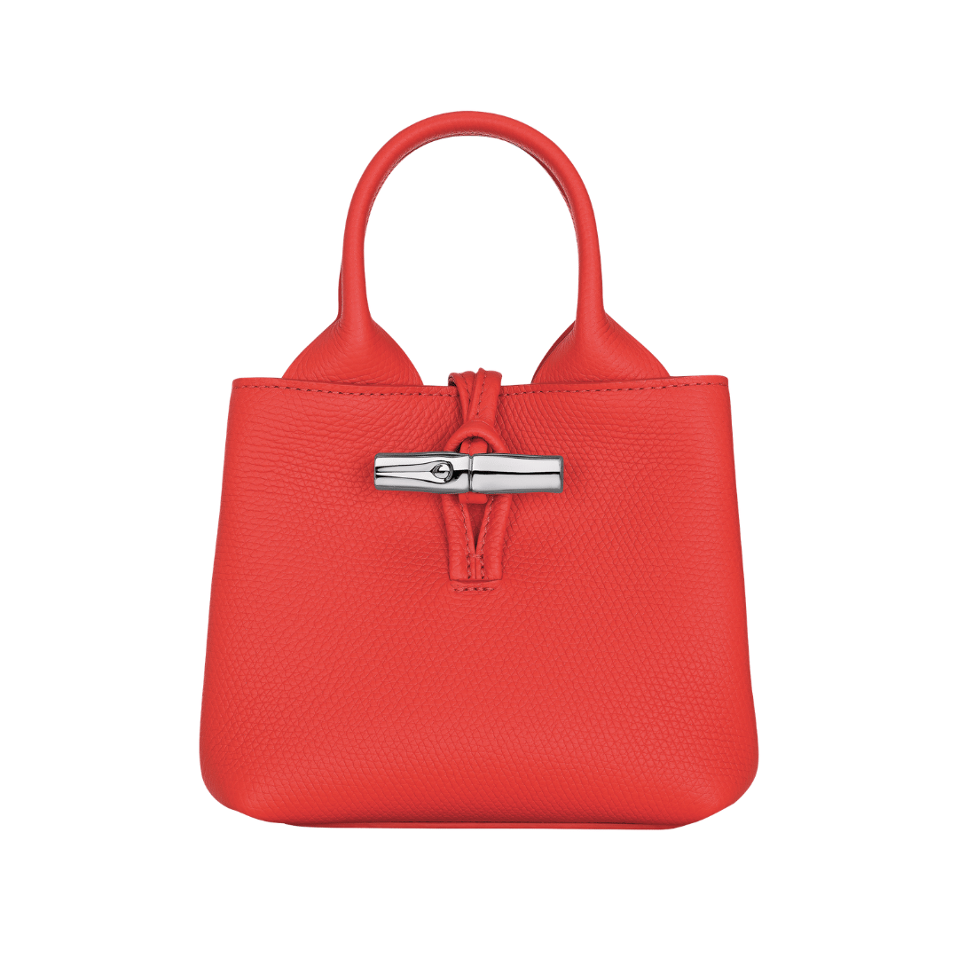 Longchamp Le Roseau XS Handbag Leather