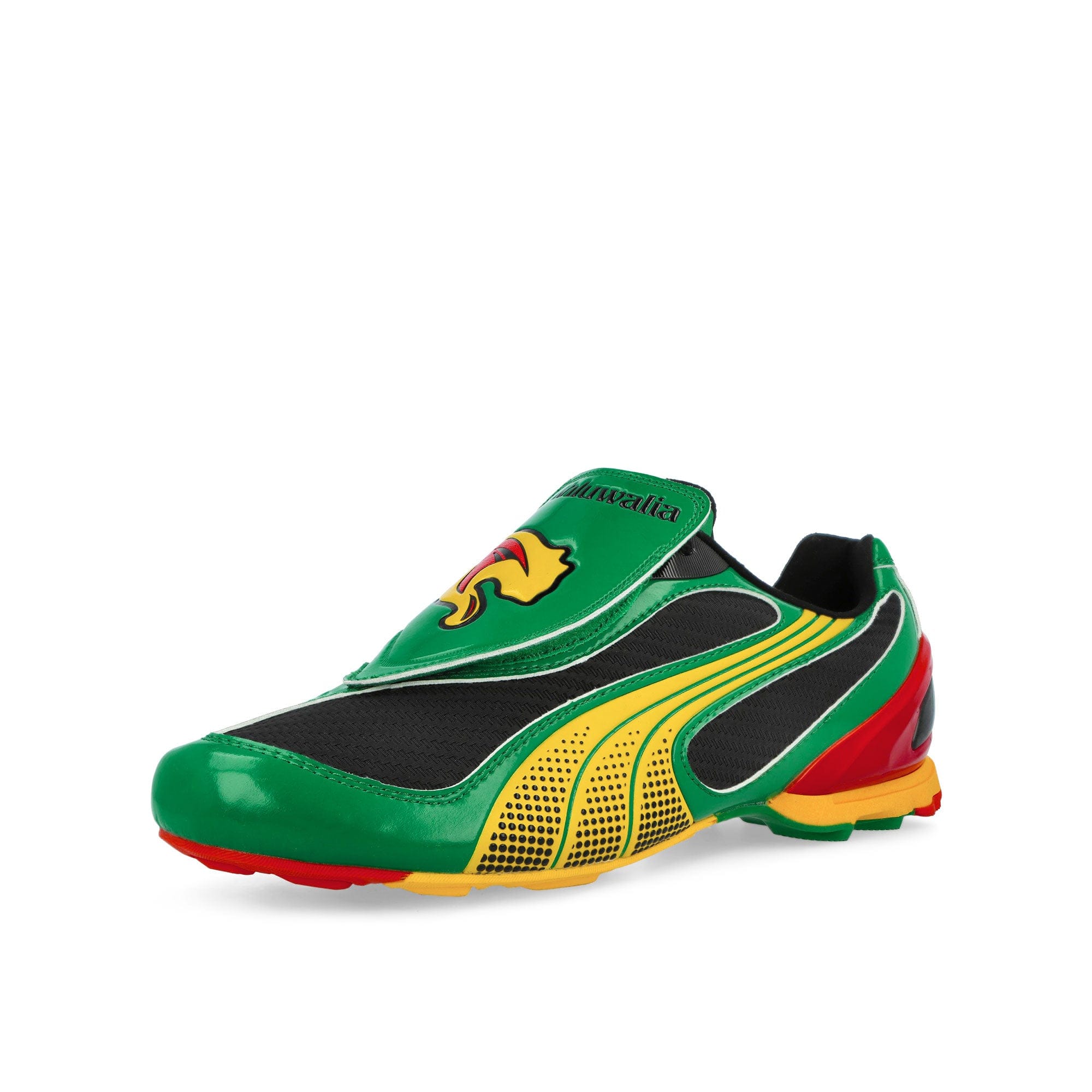 Puma V - S1 BM