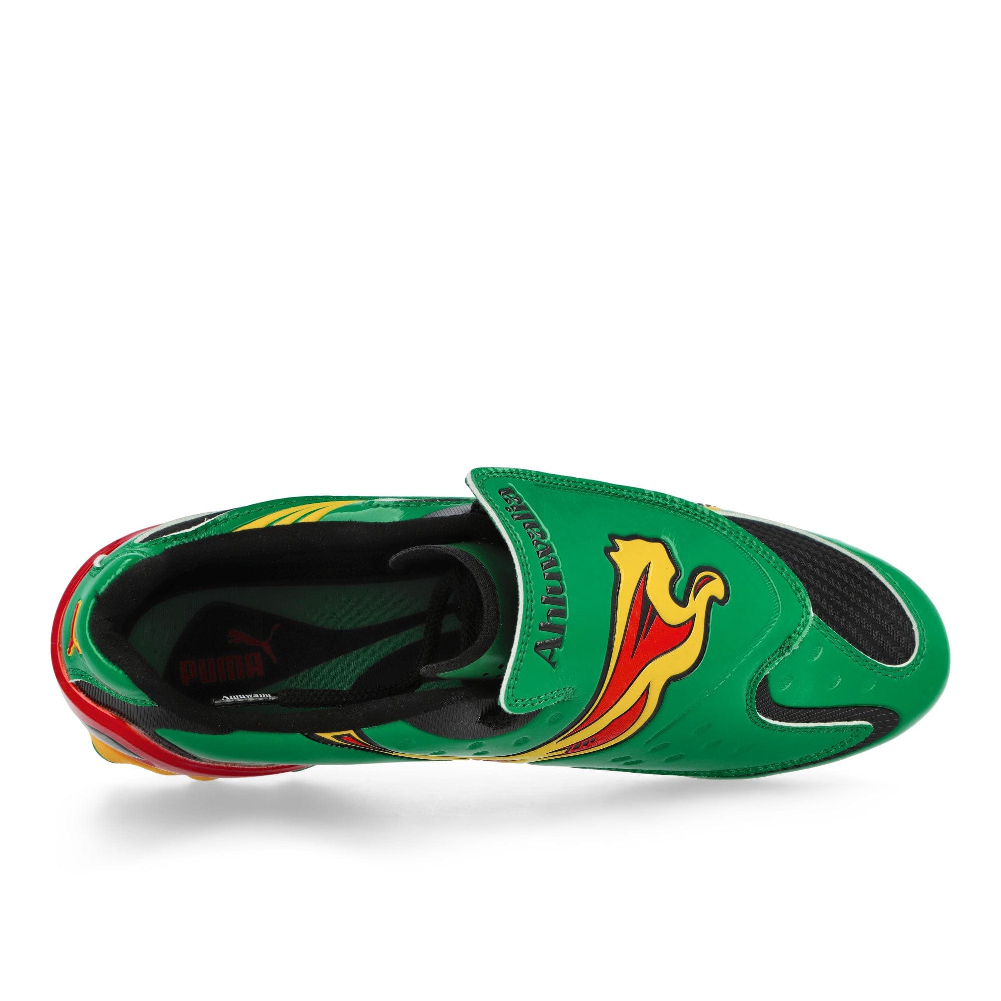 Puma V - S1 BM
