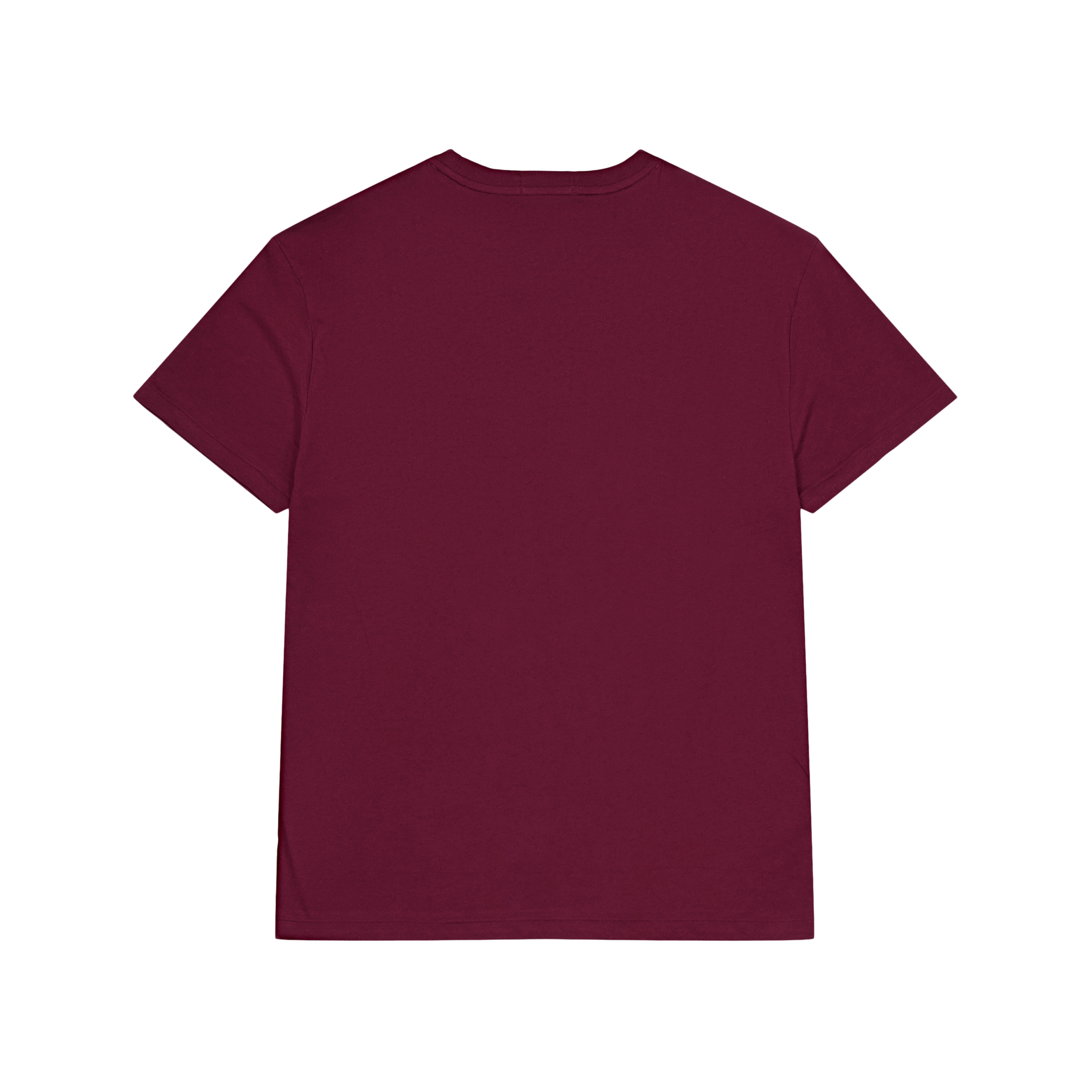 Polo Ralph Lauren 26/1 Jersey Harvard