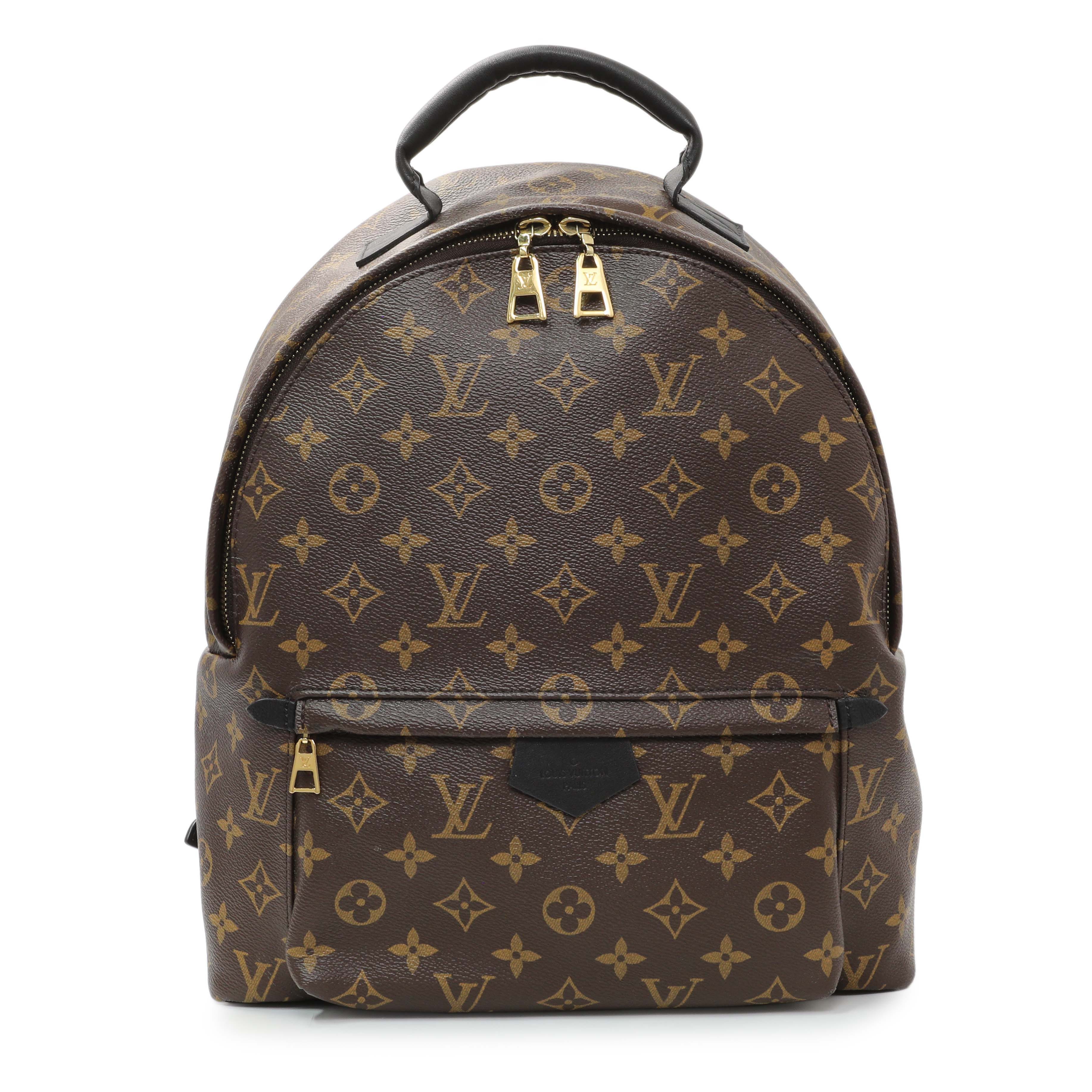 Louis Vuitton Monogram Palm Springs MM Backpack
