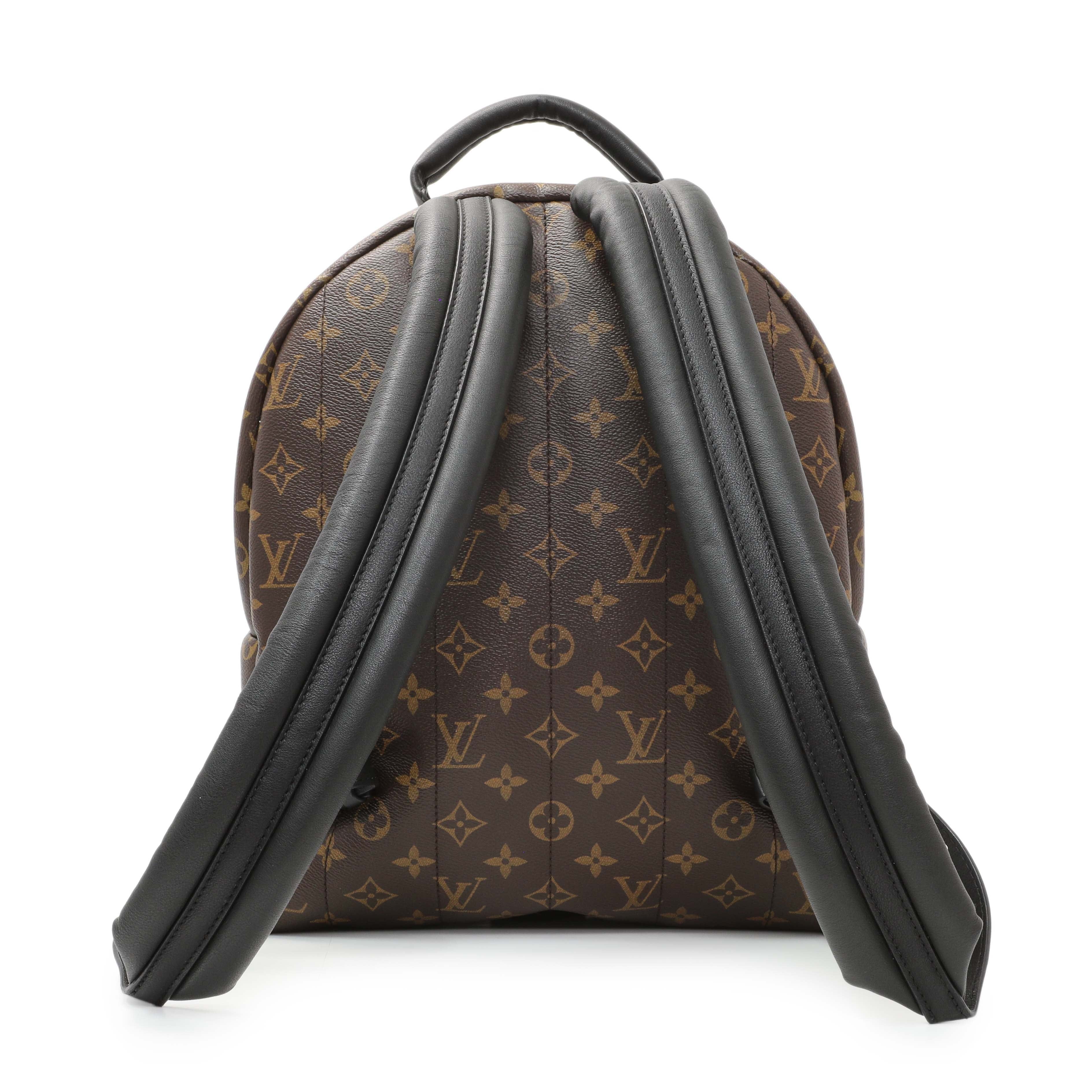 Louis Vuitton Monogram Palm Springs MM Backpack