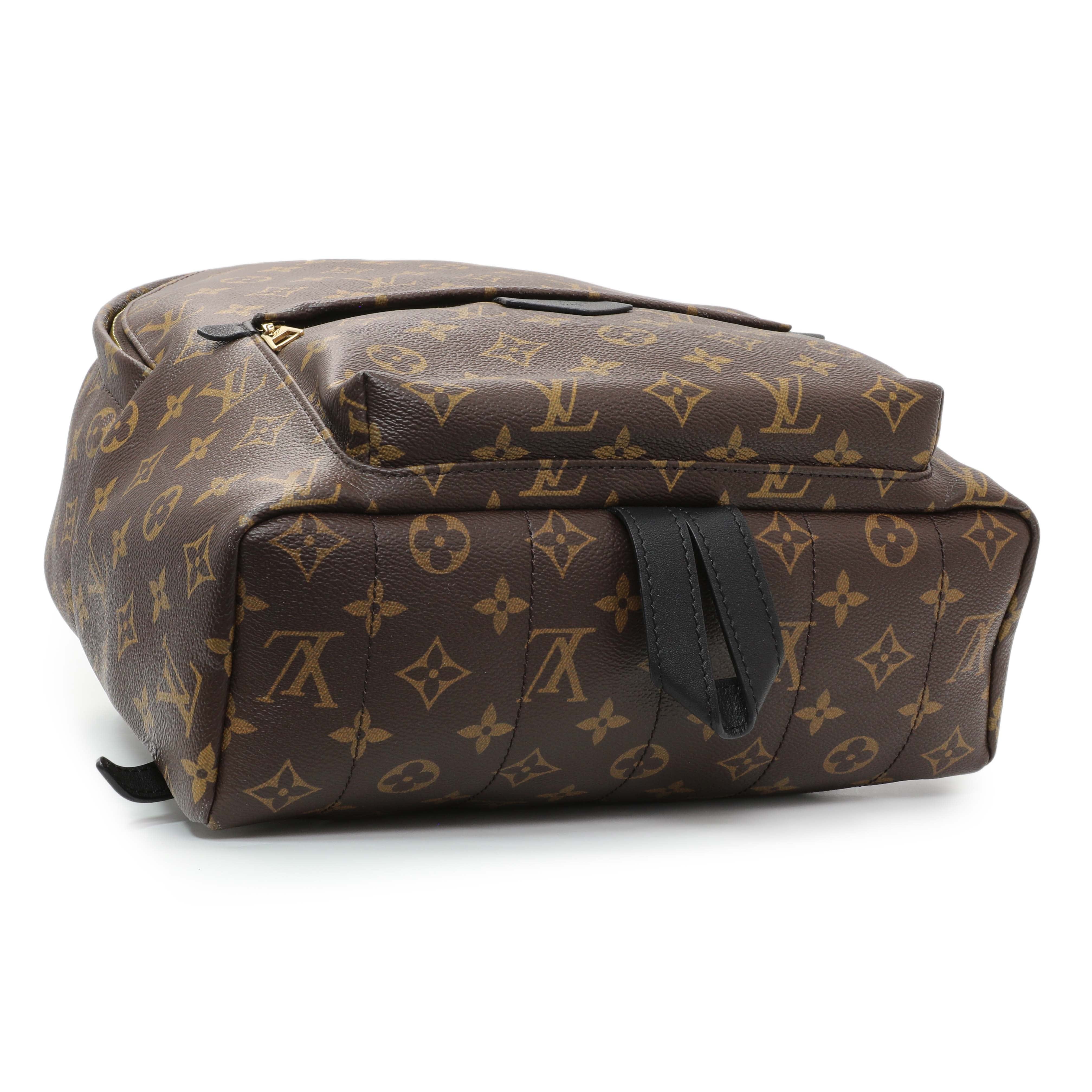 Louis Vuitton Monogram Palm Springs MM Backpack