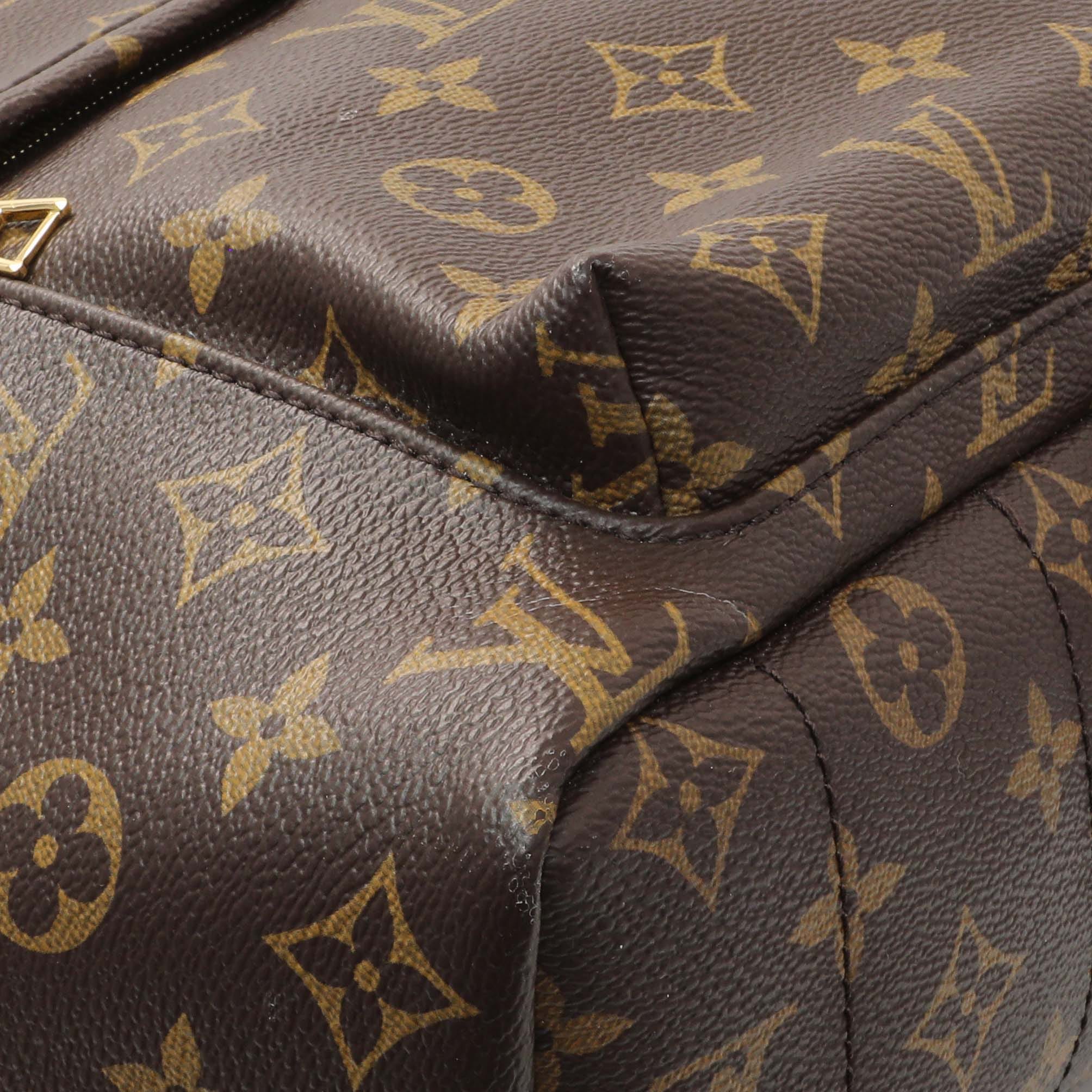 Louis Vuitton Monogram Palm Springs MM Backpack